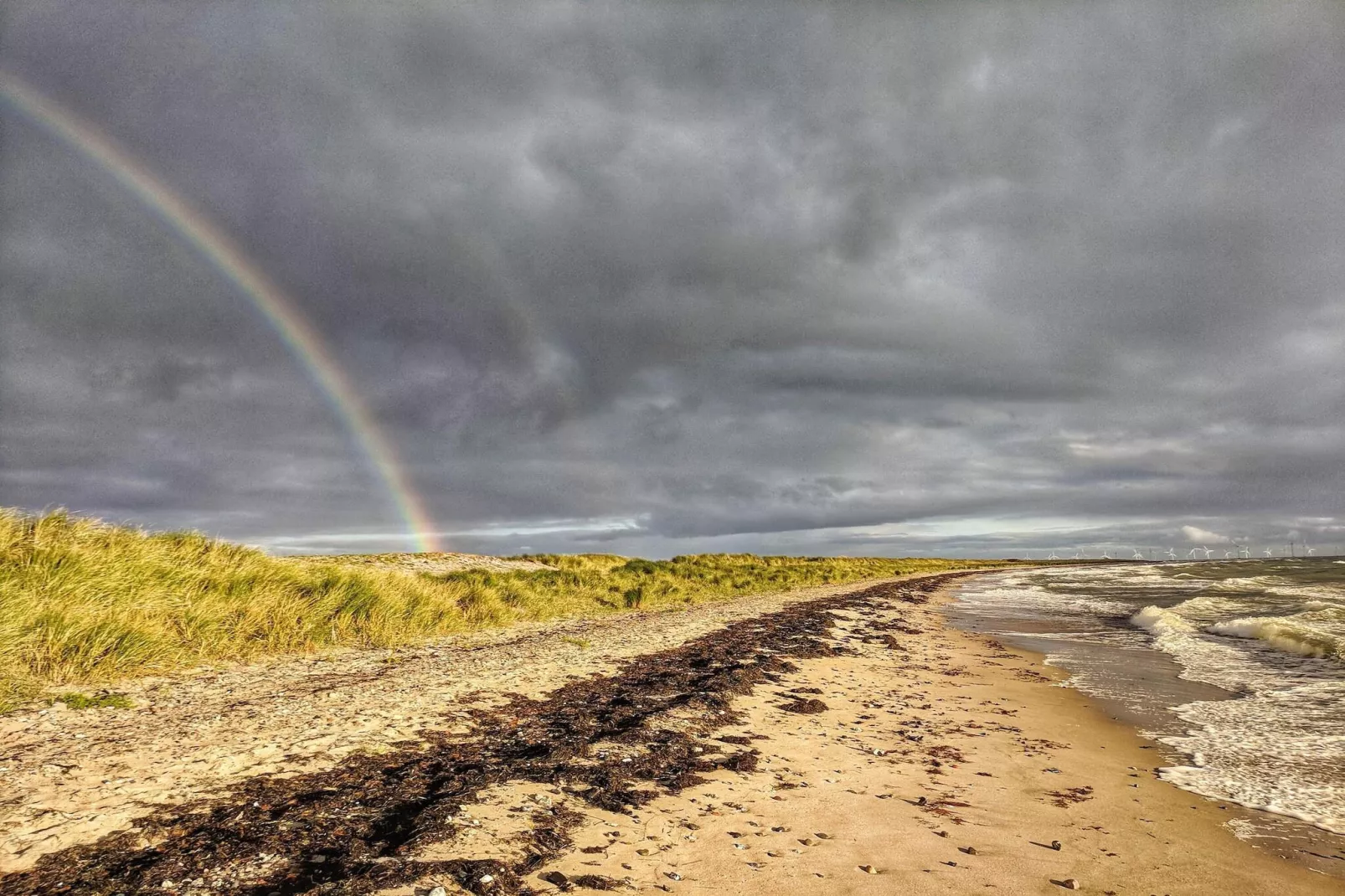 4 persoons vakantie huis in Rødby-By Traum-Niet-getagd