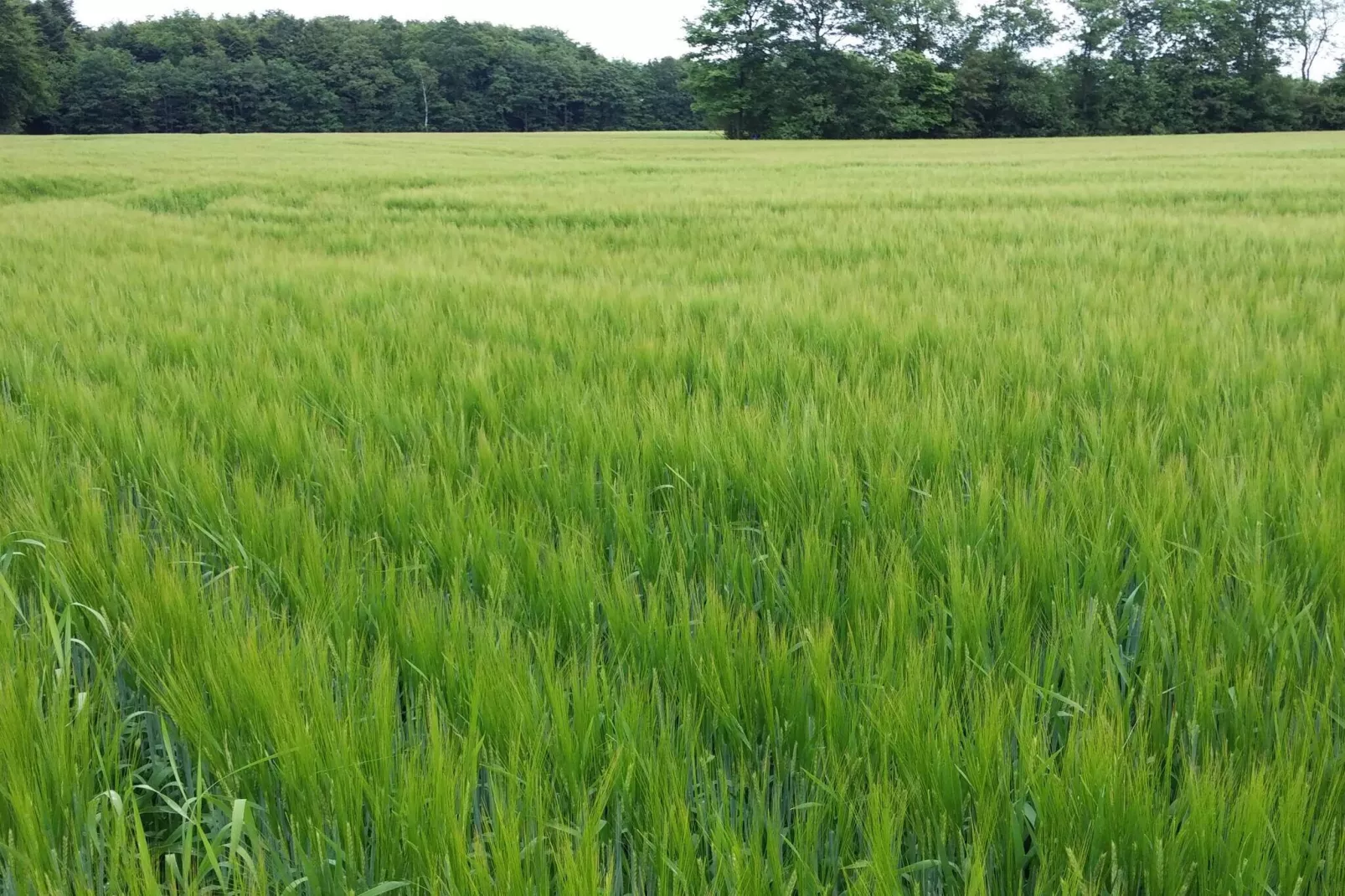 Meerzicht Juweel in Skarrild -- By Traum Ferienwohnungen-Niet-getagd