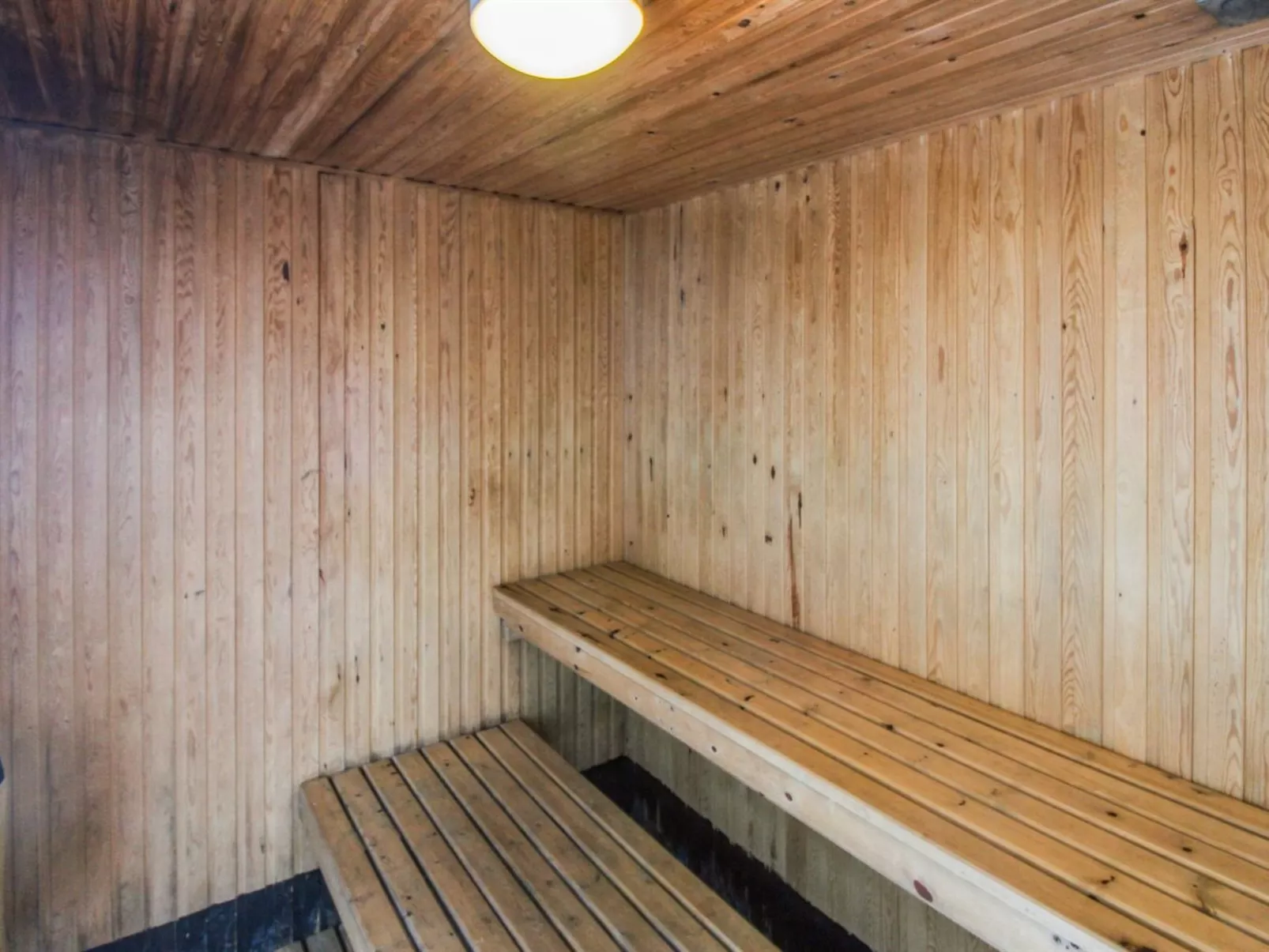 "Eliene" - 400m from the sea-Binnen