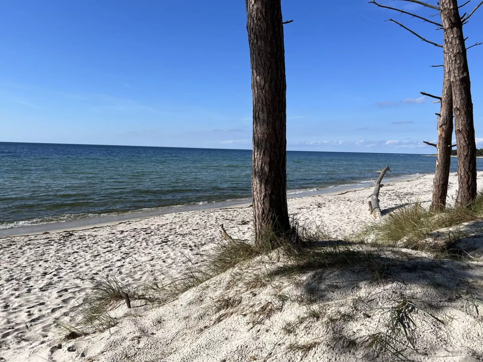 "Micaela" - 450m from the sea-Buiten