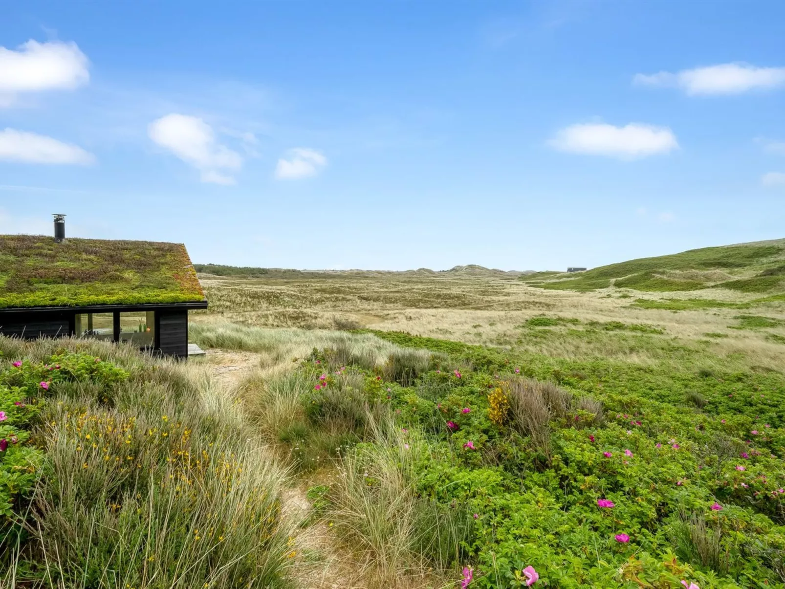 "Apolina" -  from the sea-Buiten