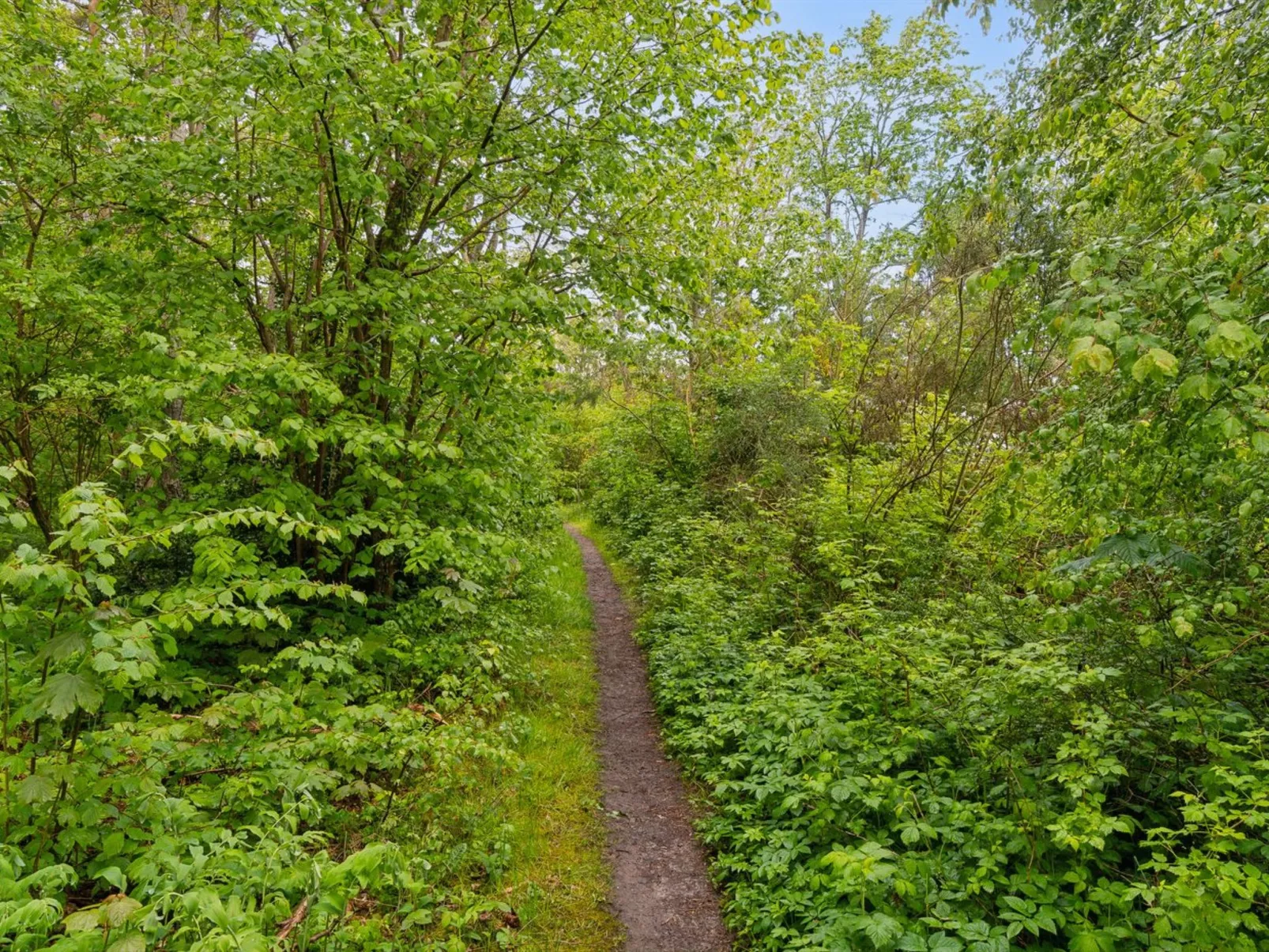 "Arkil" - 150m from the sea-Buiten