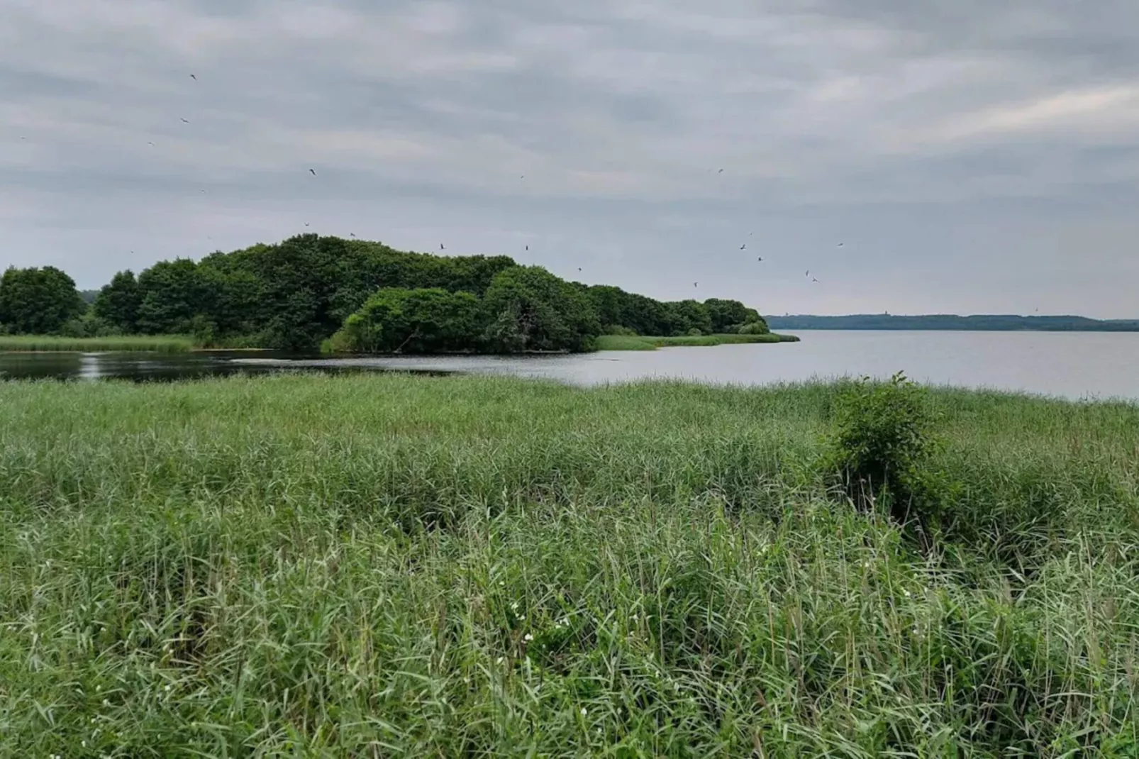 4 sterren vakantie huis in Ebeltoft-By Traum-Waterzicht