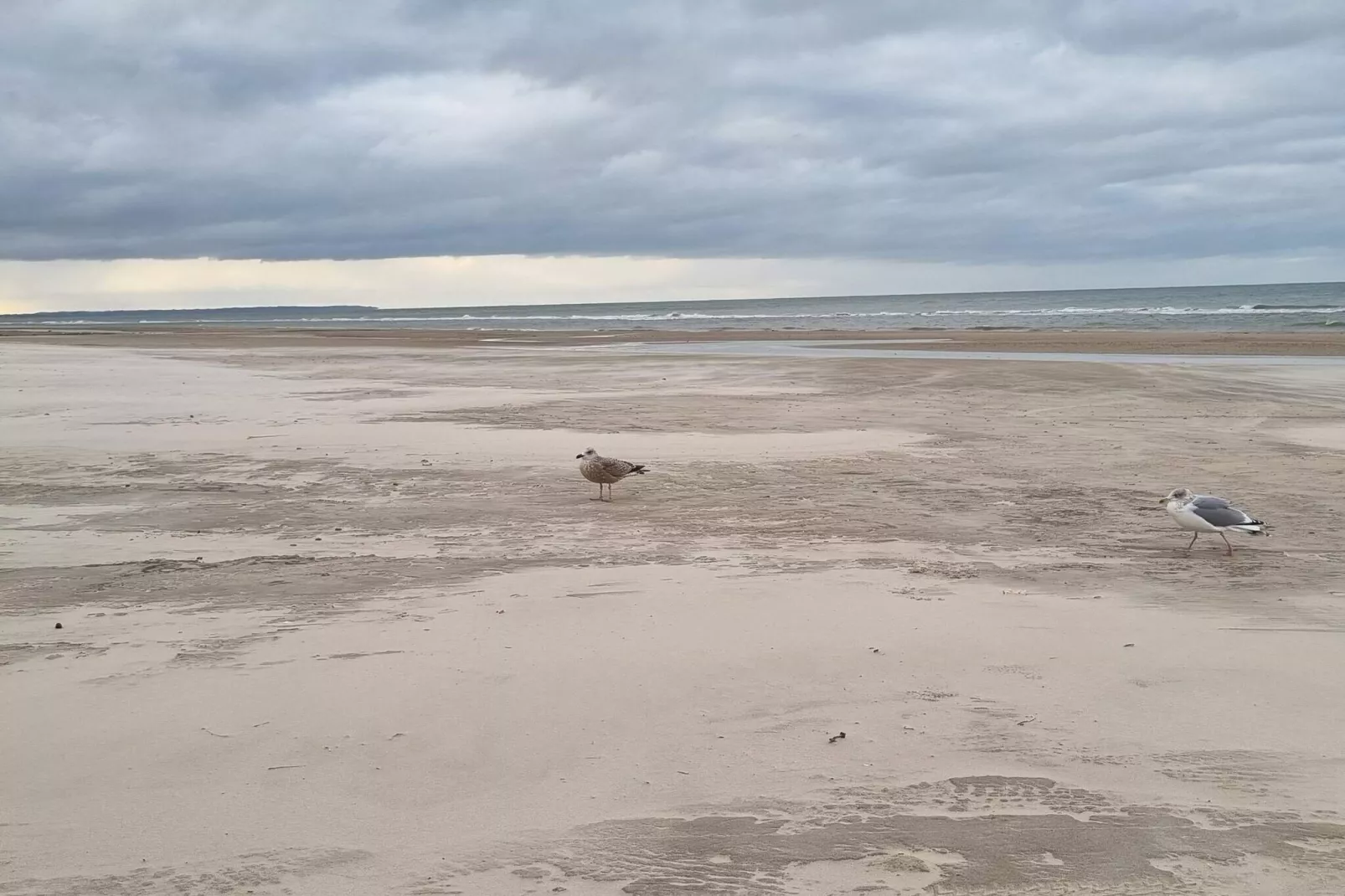 6 persoons vakantie huis in Løkken-By Traum-Niet-getagd