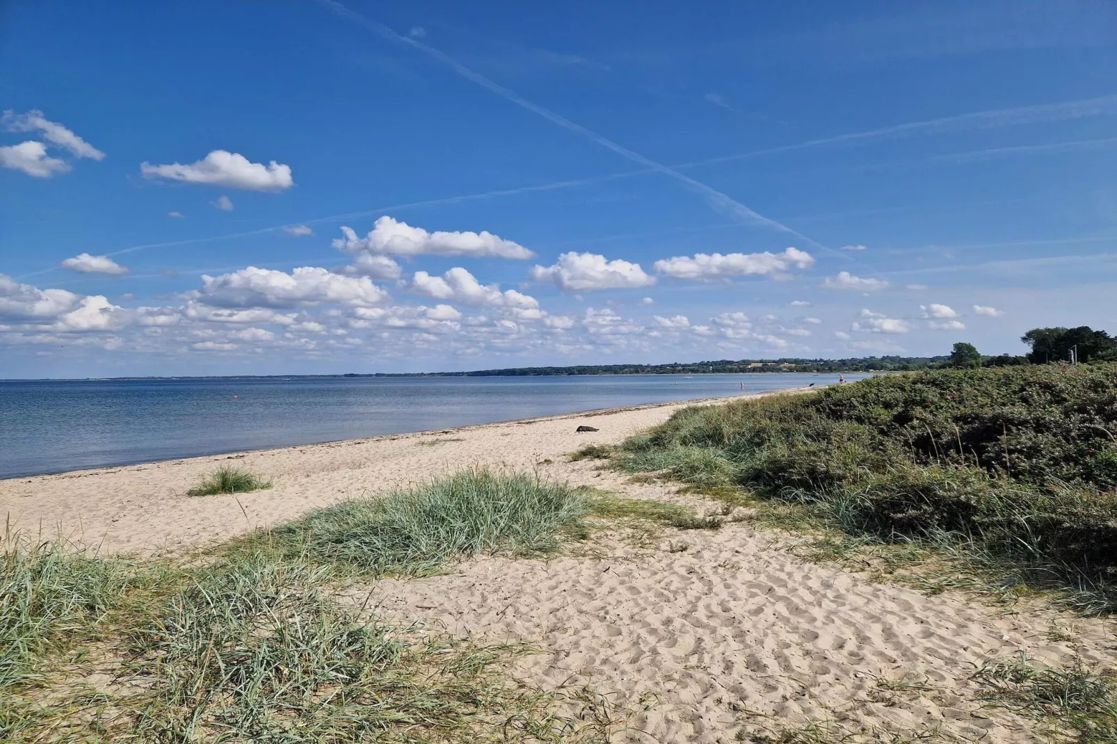 5 persoons vakantie huis in Middelfart-By Traum-Waterzicht