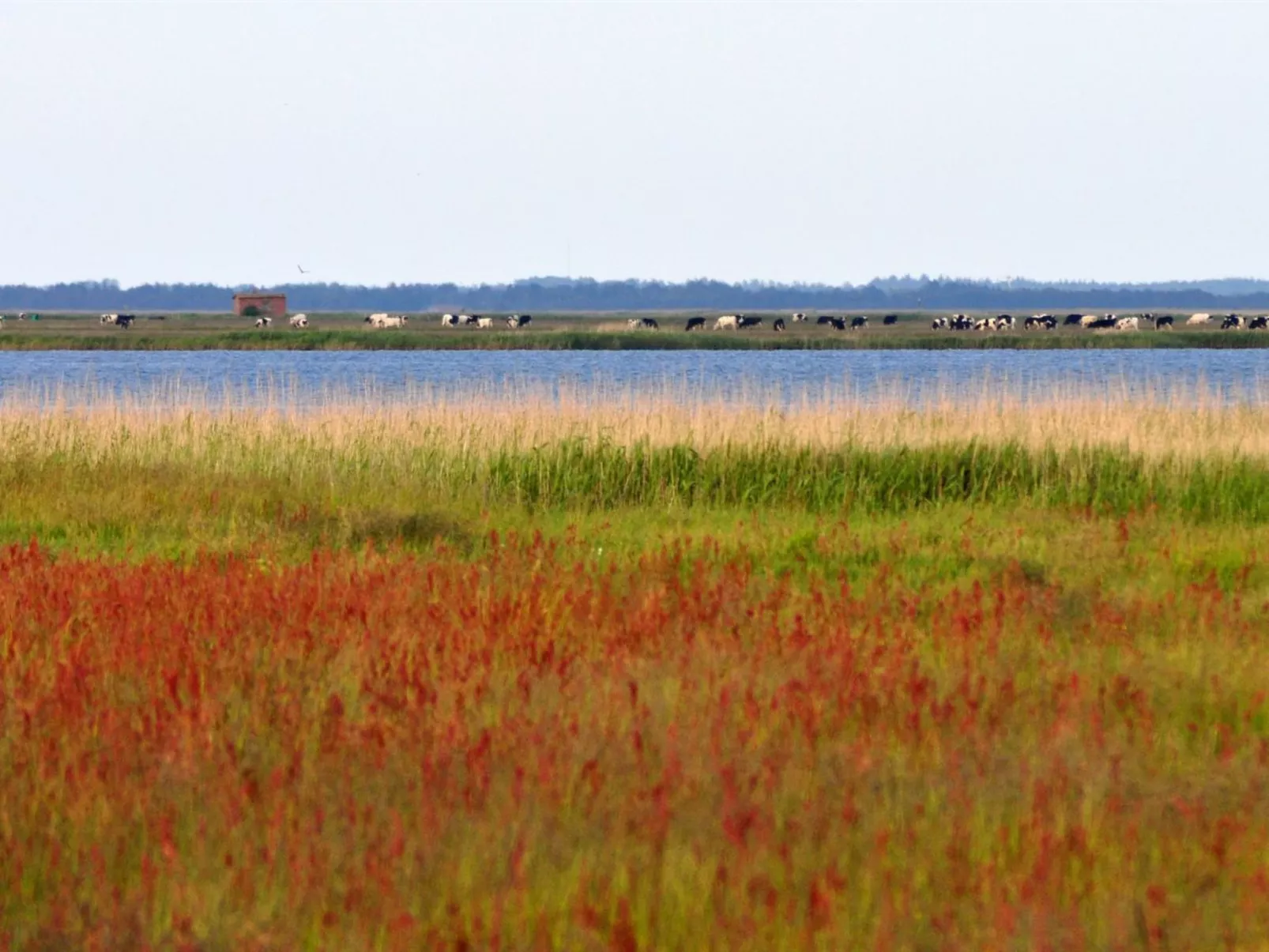 "Werna" - 800m from the sea-Buiten