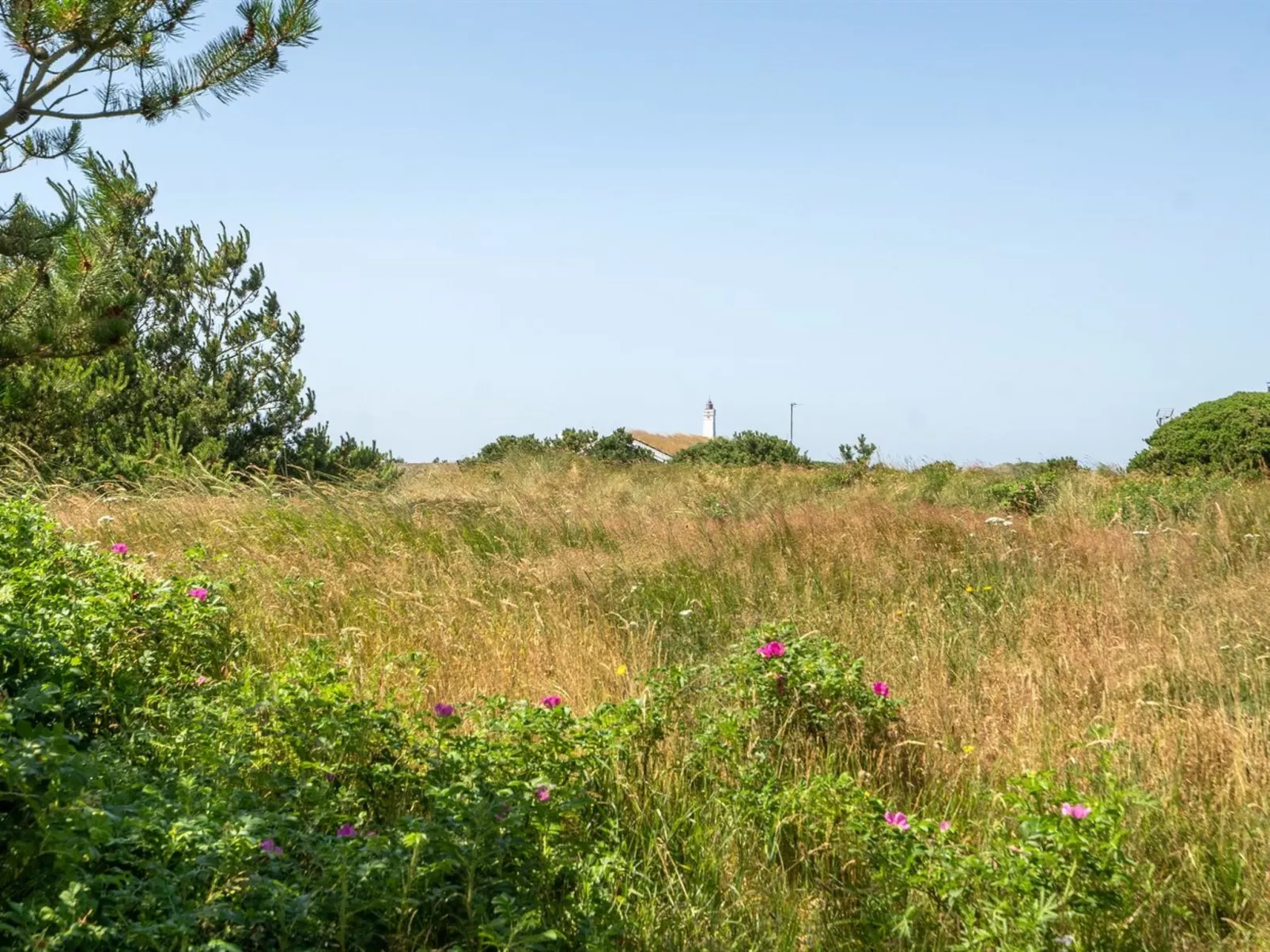 "Sine" - 500m from the sea-Buiten