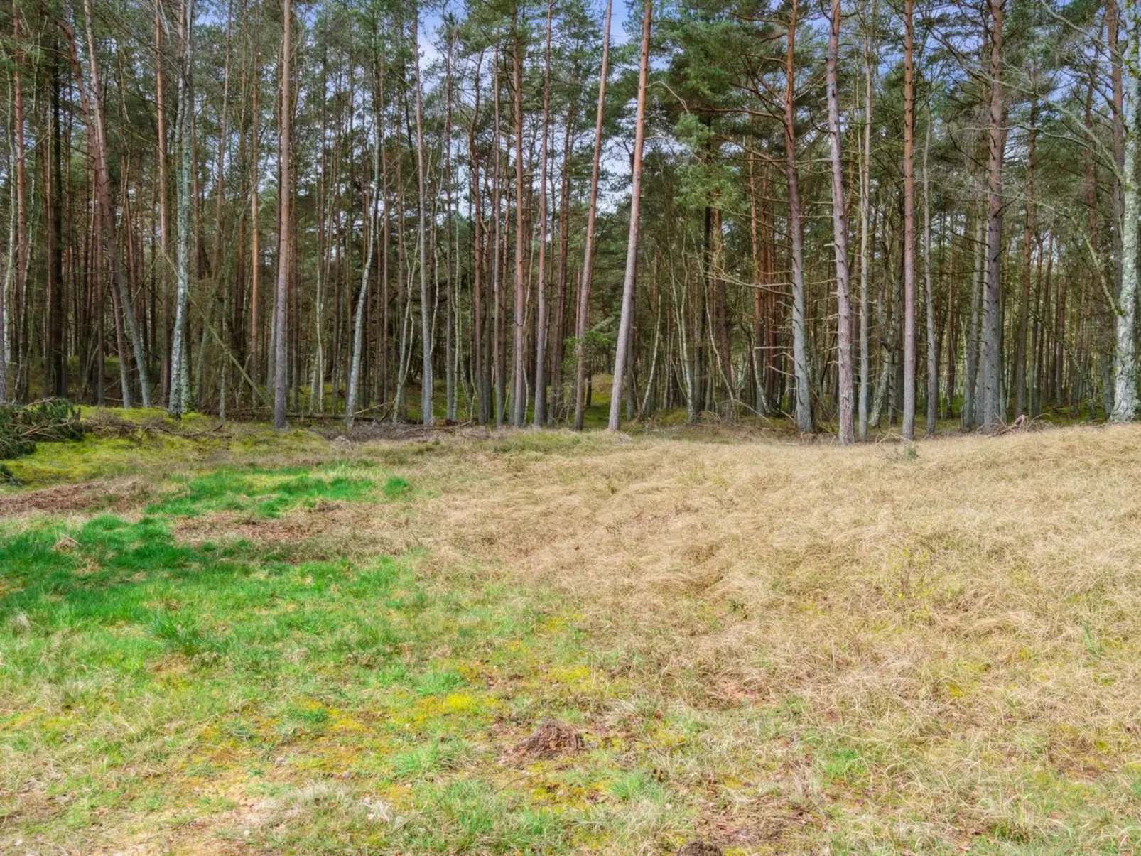 "Awa" - 800m from the sea-Buiten