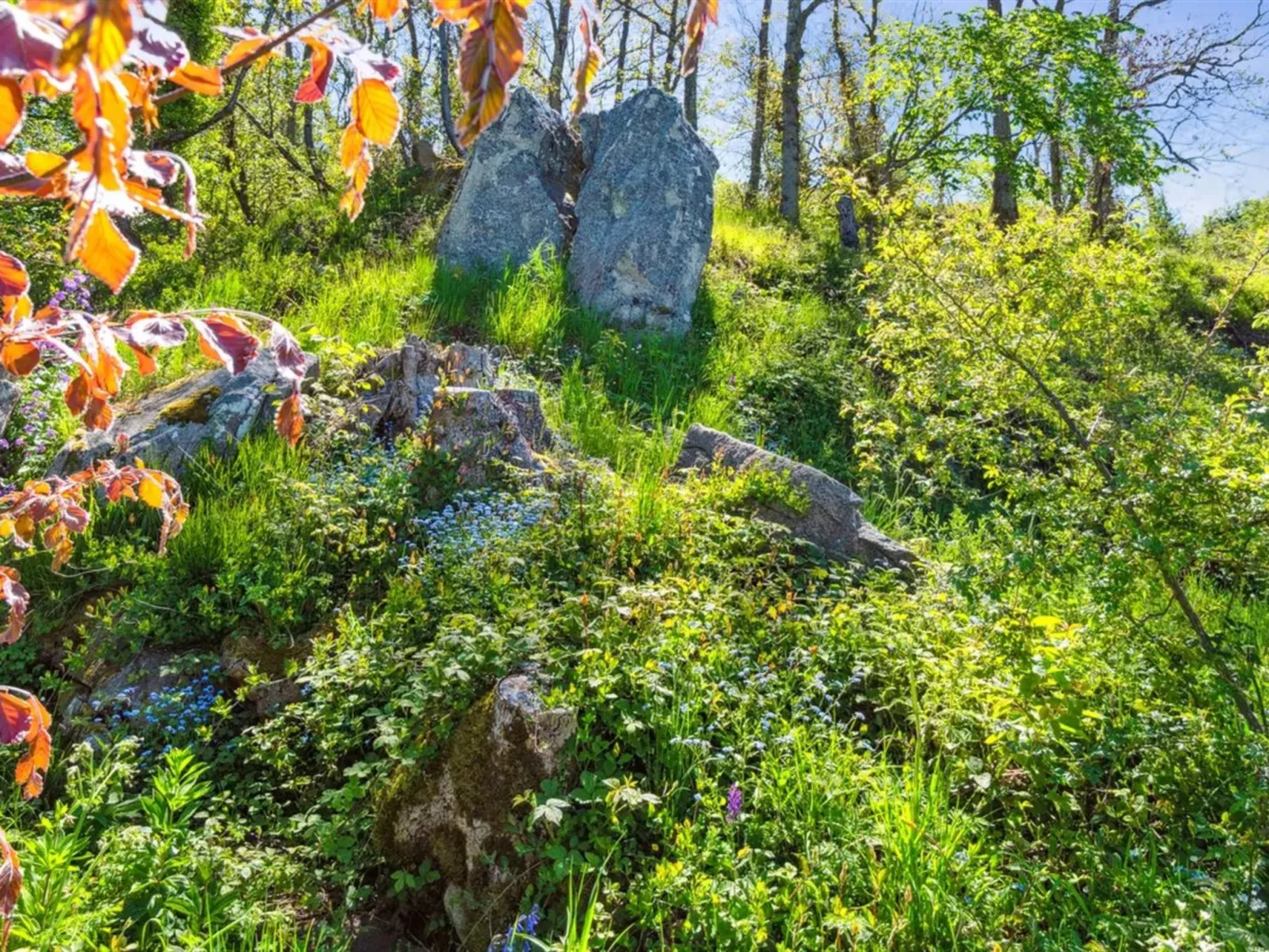 "Henric" - 75m from the sea-Buiten