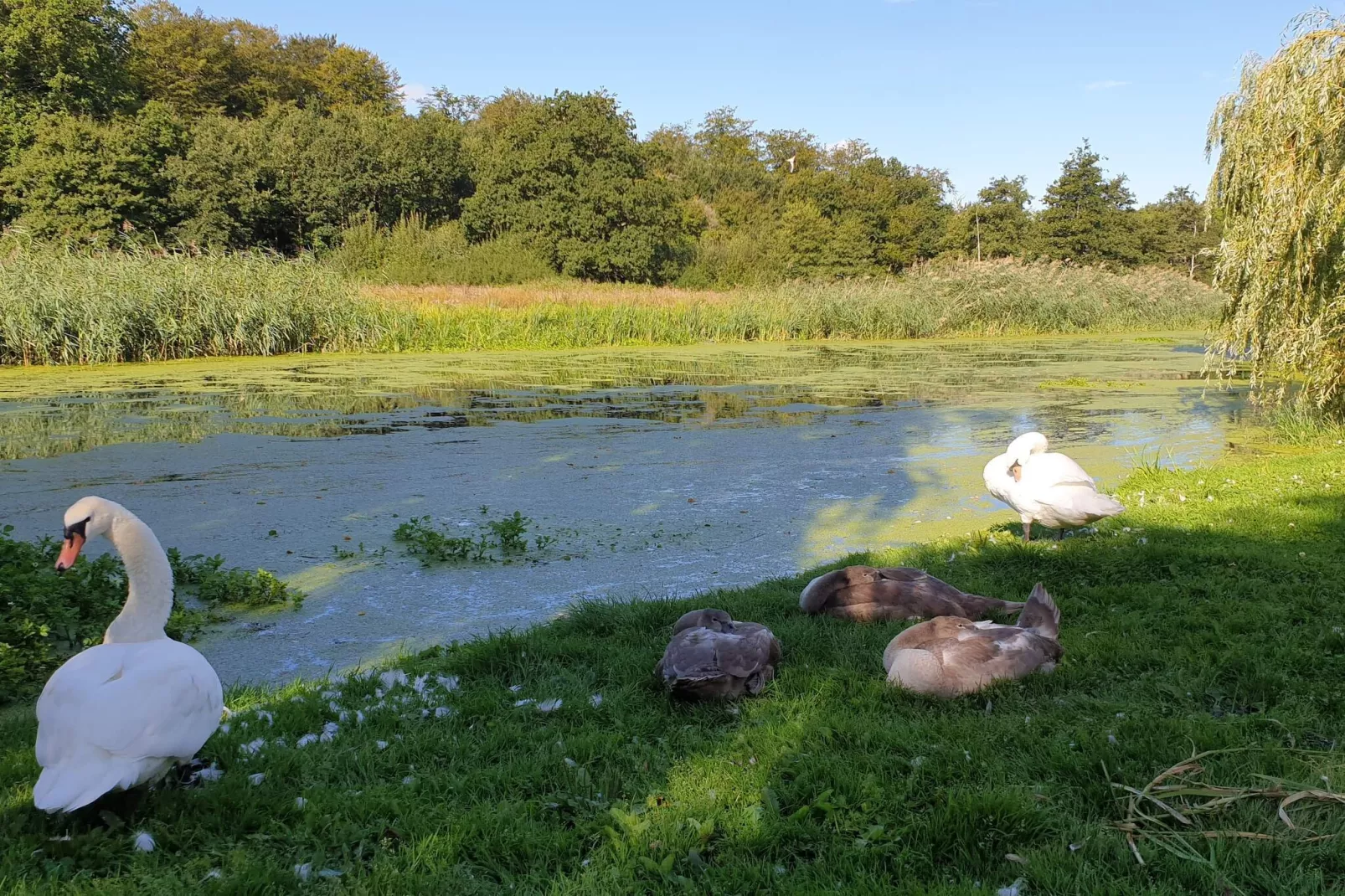 Gezellig toevluchtsoord bij Koge Bay -- By Traum Ferienwohnungen-Waterzicht