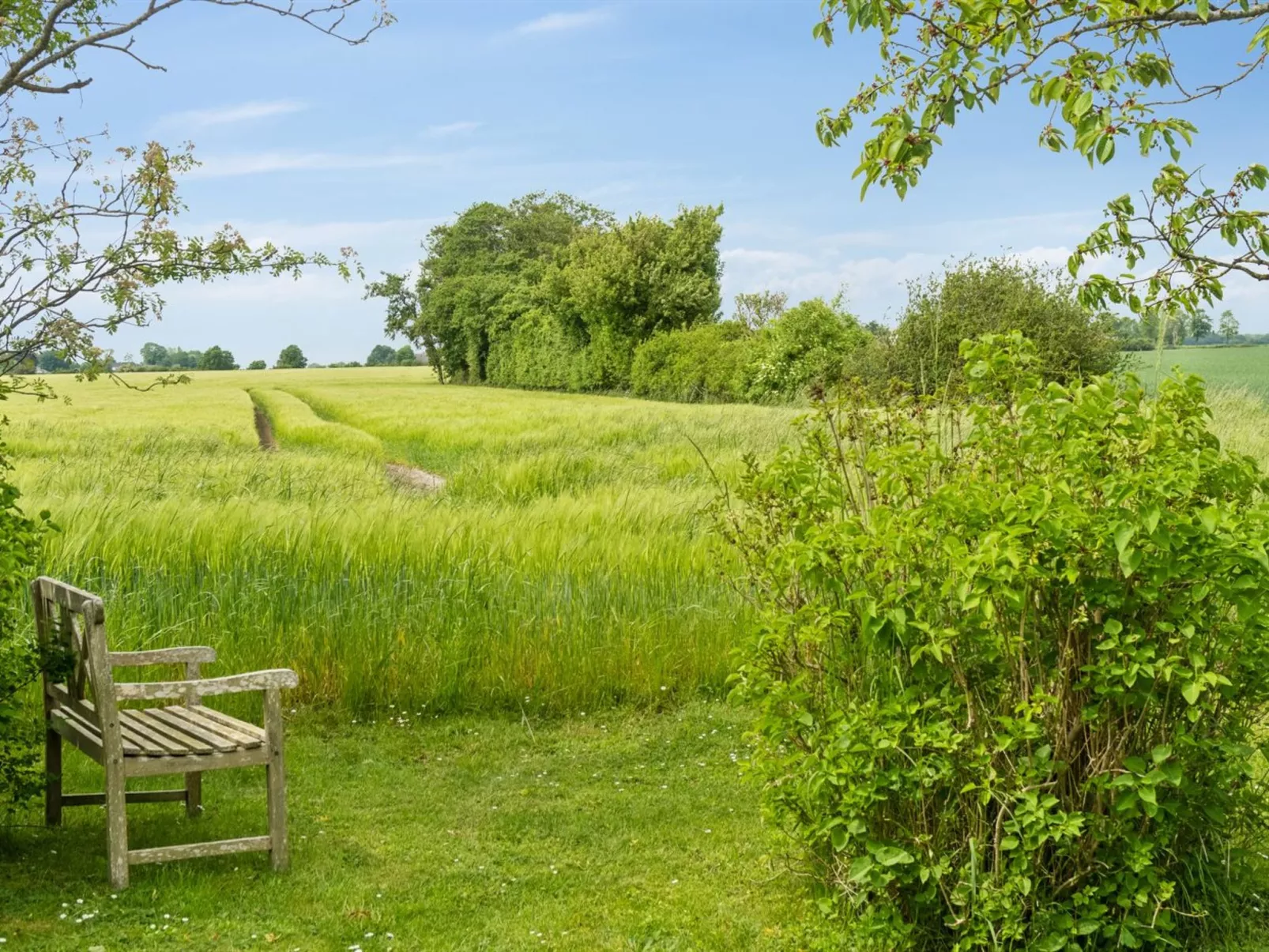 "Ødke" - 350m from the sea-Buiten