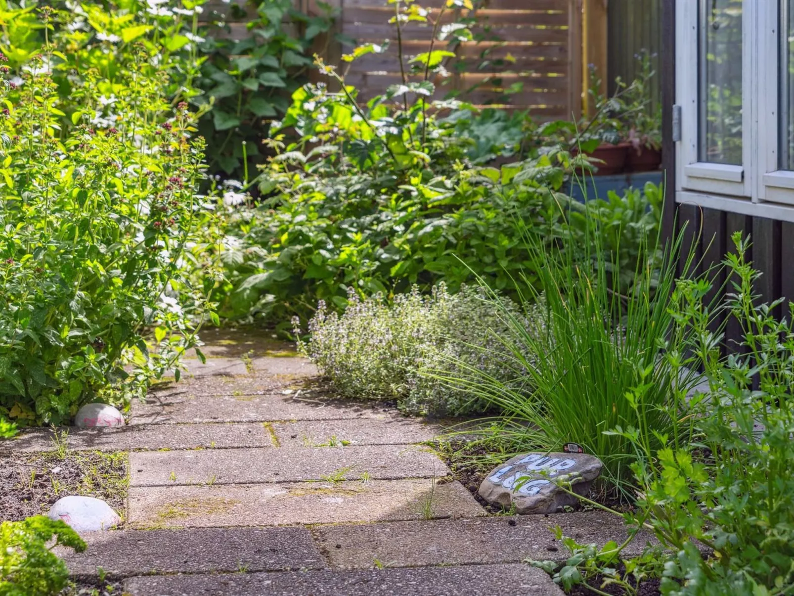 "Antonie" - 700m from the sea-Buiten