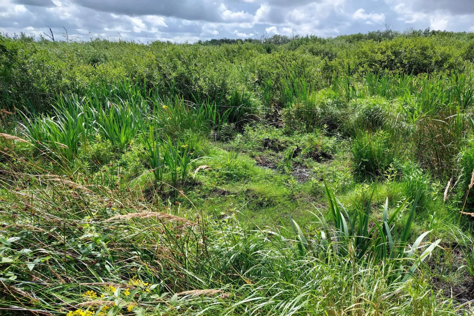 4 persoons vakantie huis in Bredebro-By Traum-Niet-getagd