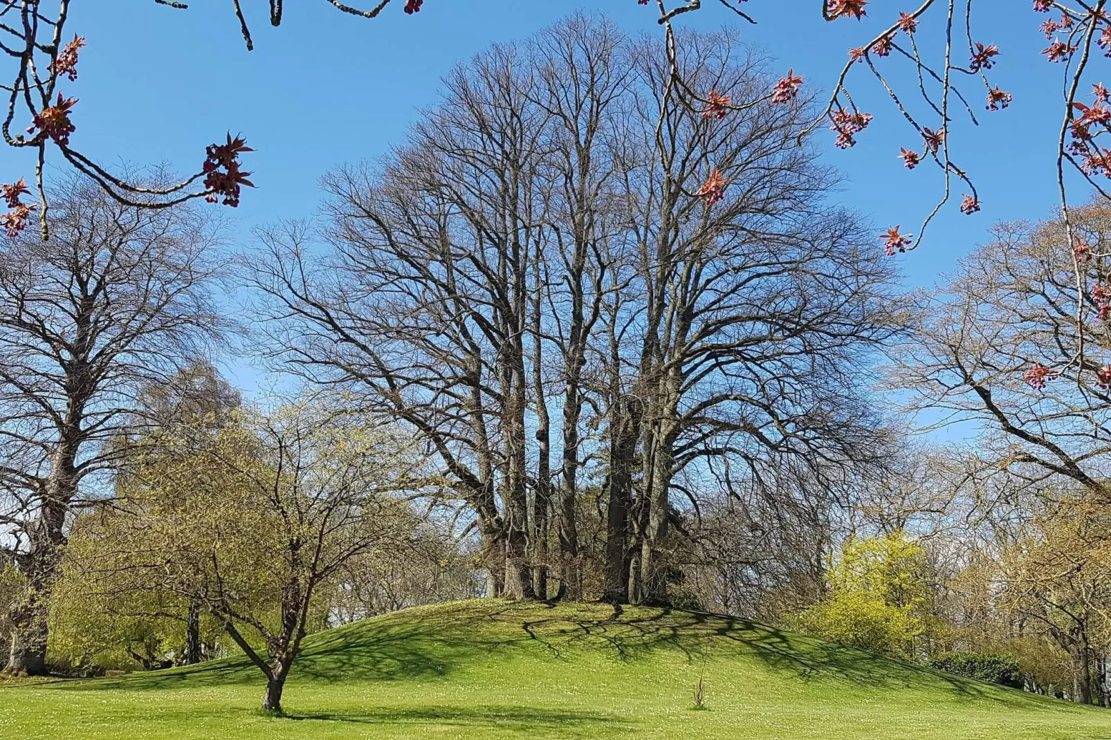 Sfeervolle retraite op Eno -- By Traum Ferienwohnungen