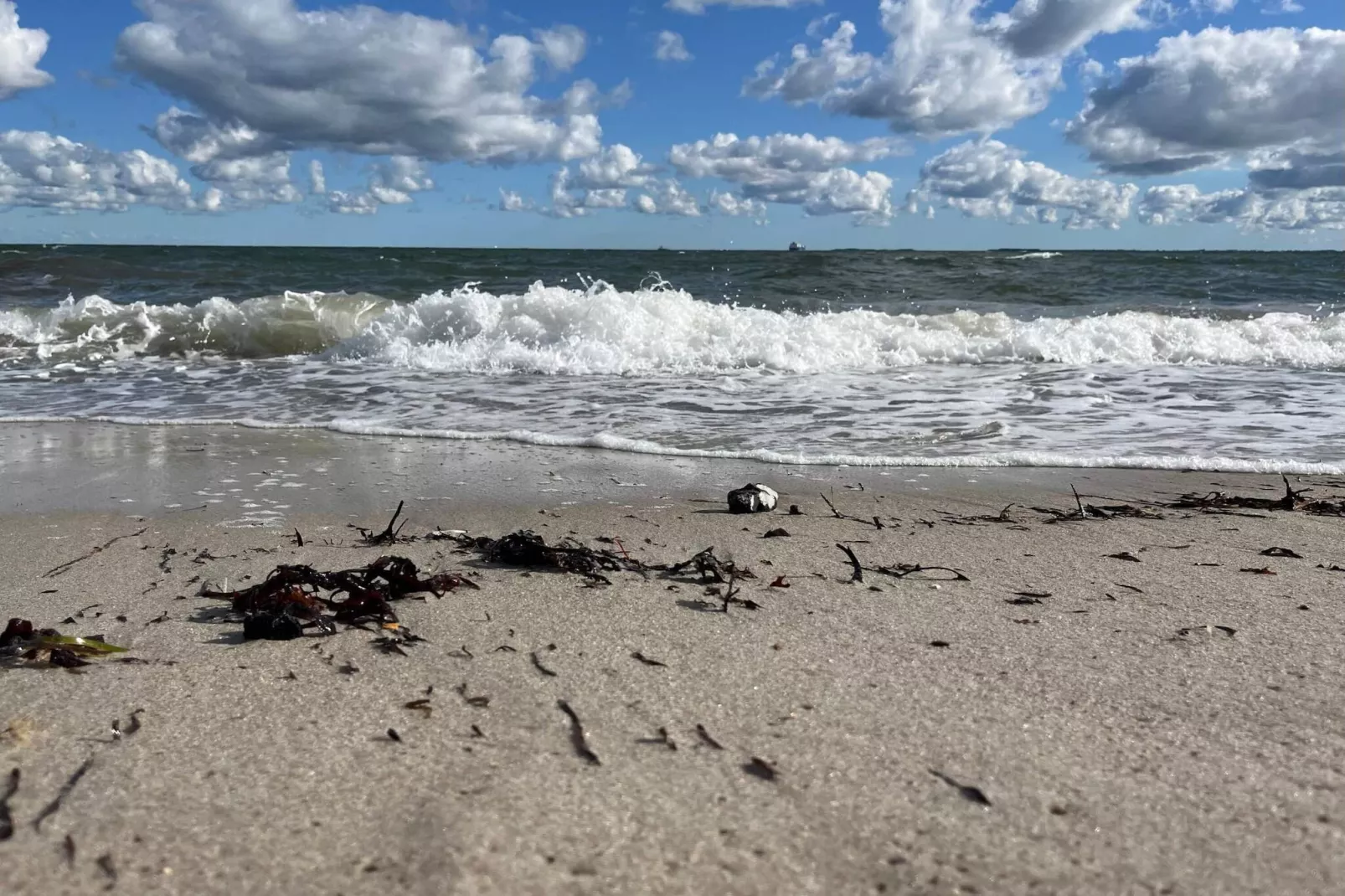 Luxe retraite bij Hasmark -- By Traum Ferienwohnungen-Waterzicht