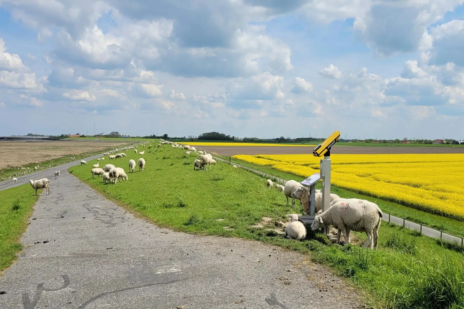 Doppelhaushälfte Wattwurm 34-Gebieden zomer 5km