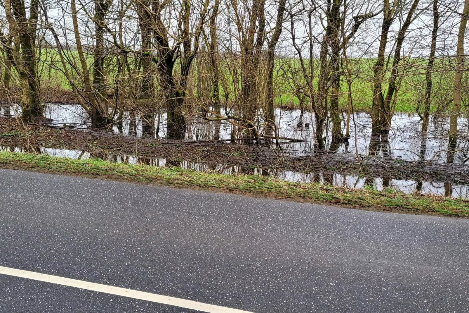 6 Personen vakantie huis in Give-By Traum-Niet-getagd