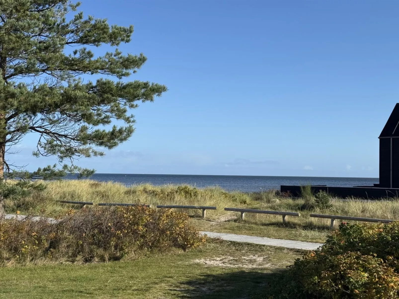 "Elevus" -  from the sea-Buiten