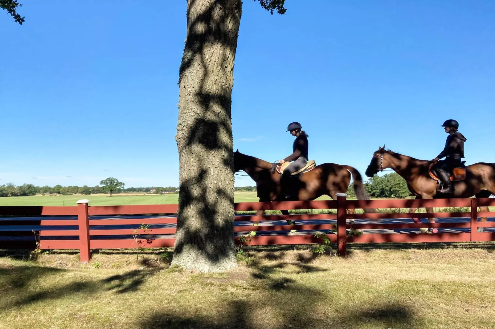 4 Personen vakantie huis in Hagby-Buitenlucht