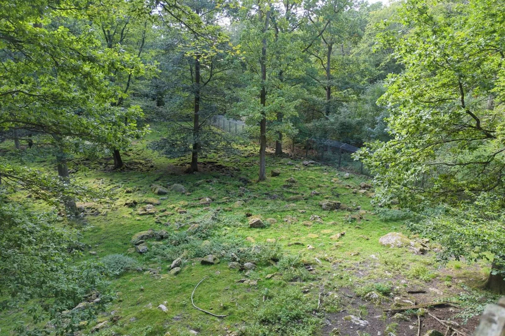 4 persoons vakantiehuis in Hoor-Niet-getagd