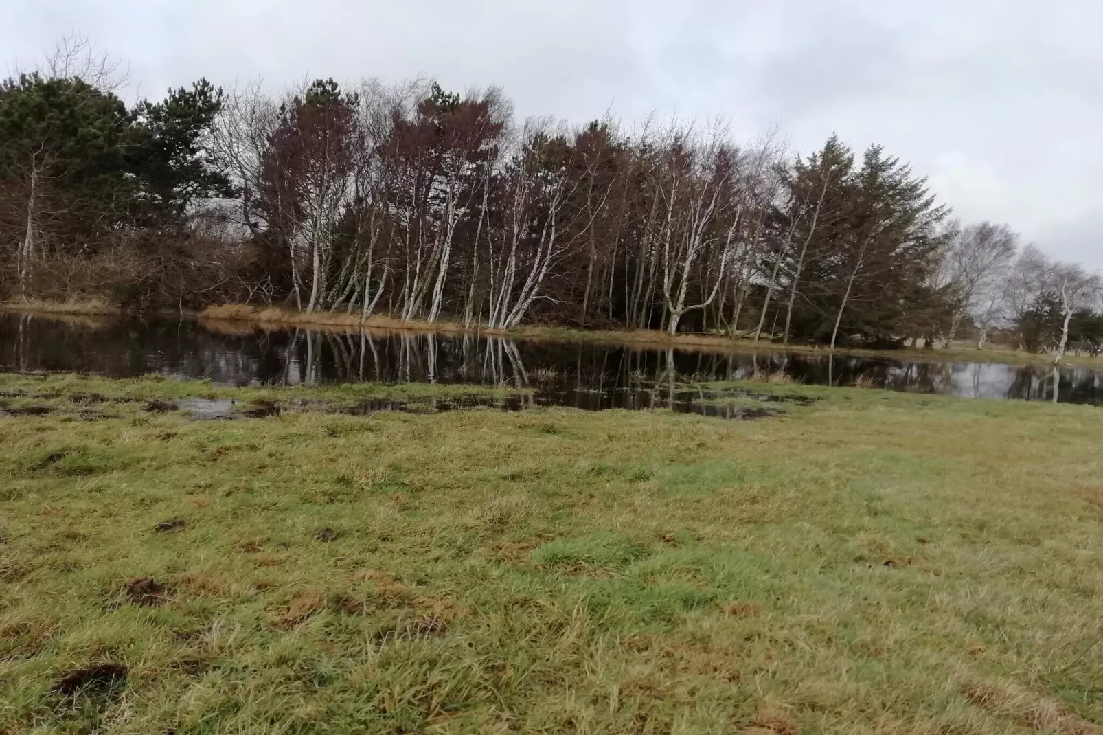 6 Personen vakantie huis in Rødby-Waterzicht