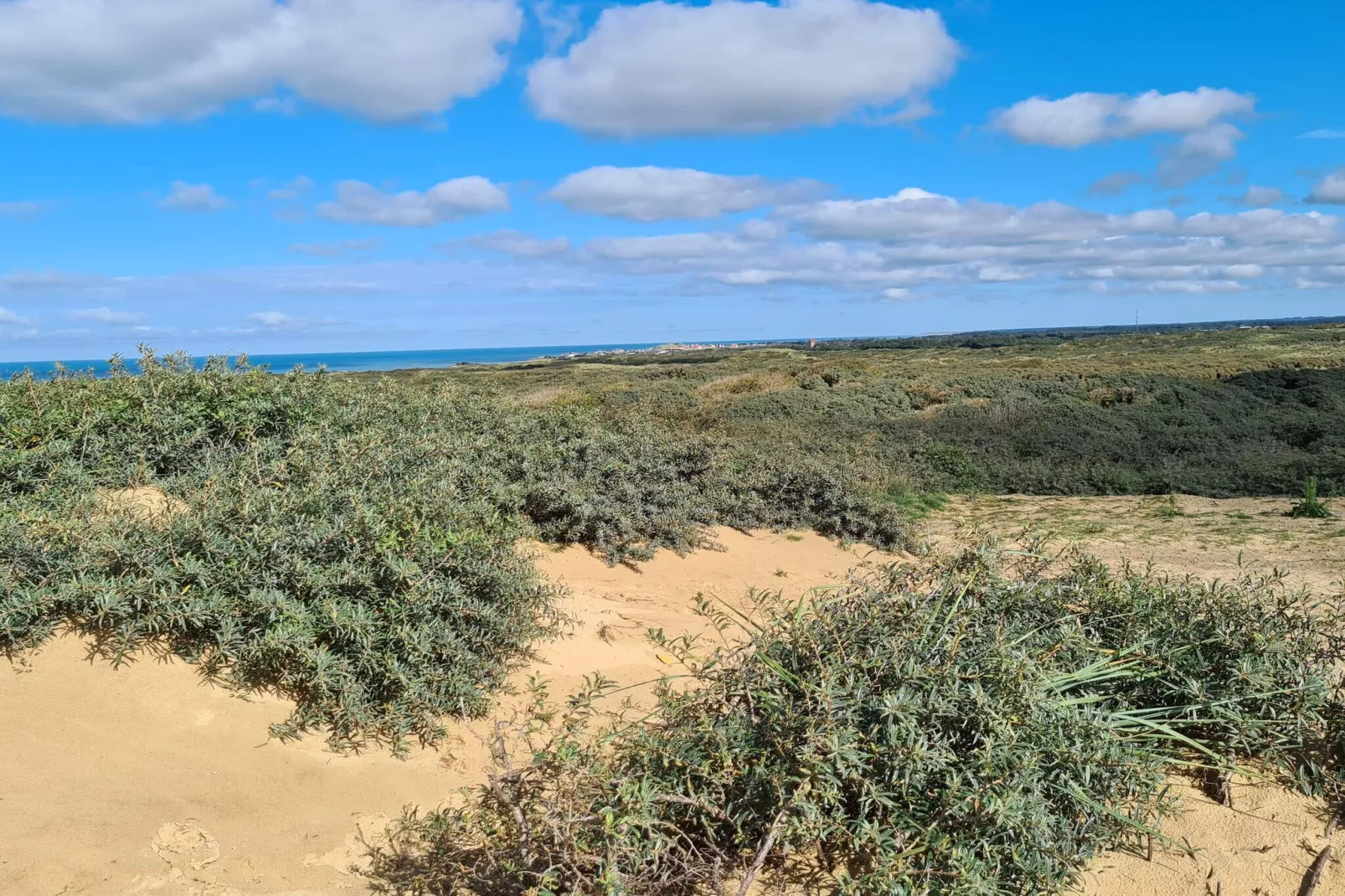 5 sterren vakantie huis in Løkken-Niet-getagd