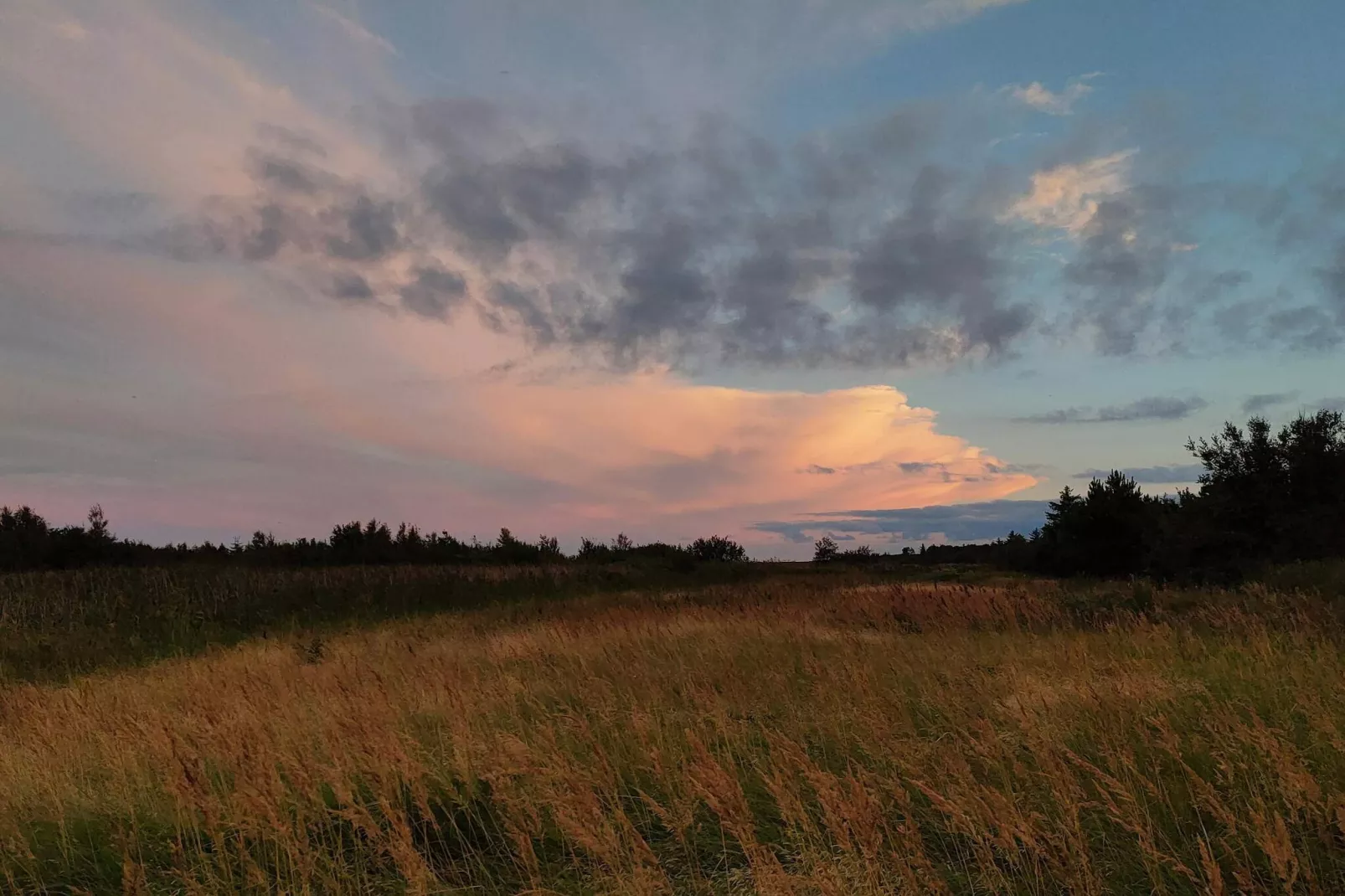 4 sterren vakantie huis in Hals-Niet-getagd