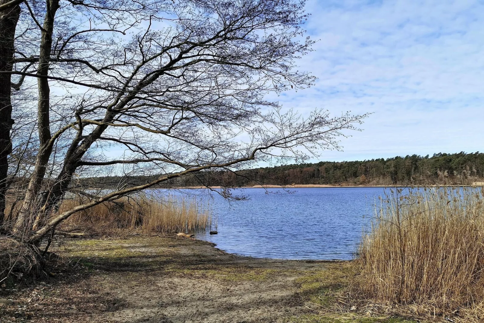 Luxus-Familienappartement / 8 Personen-Gebieden zomer 1km