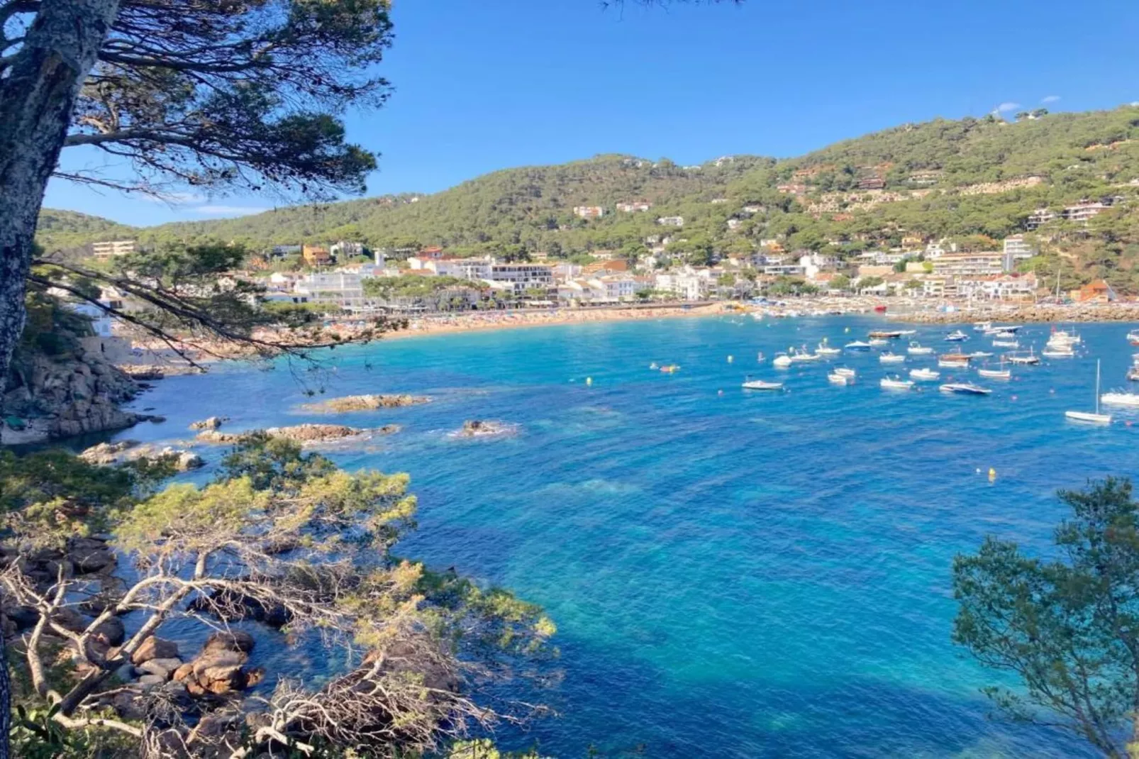Ronda-Gebieden zomer 20km