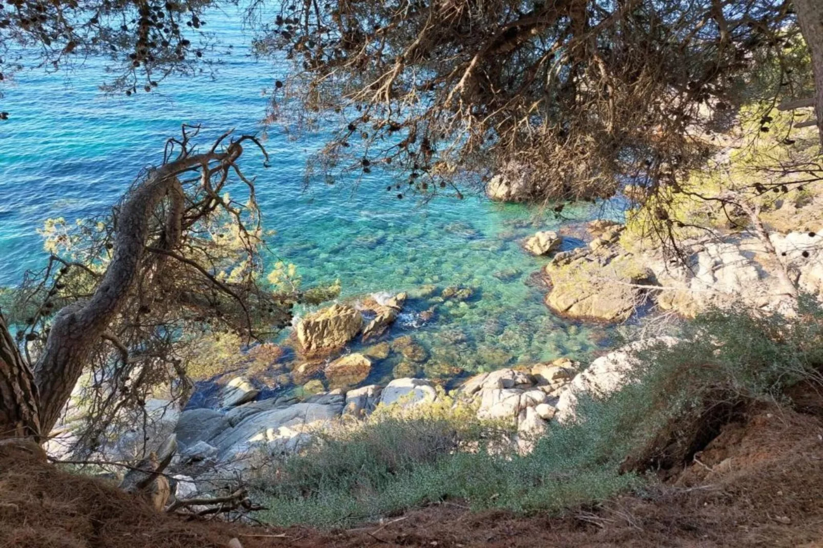 Cora-Gebieden zomer 5km