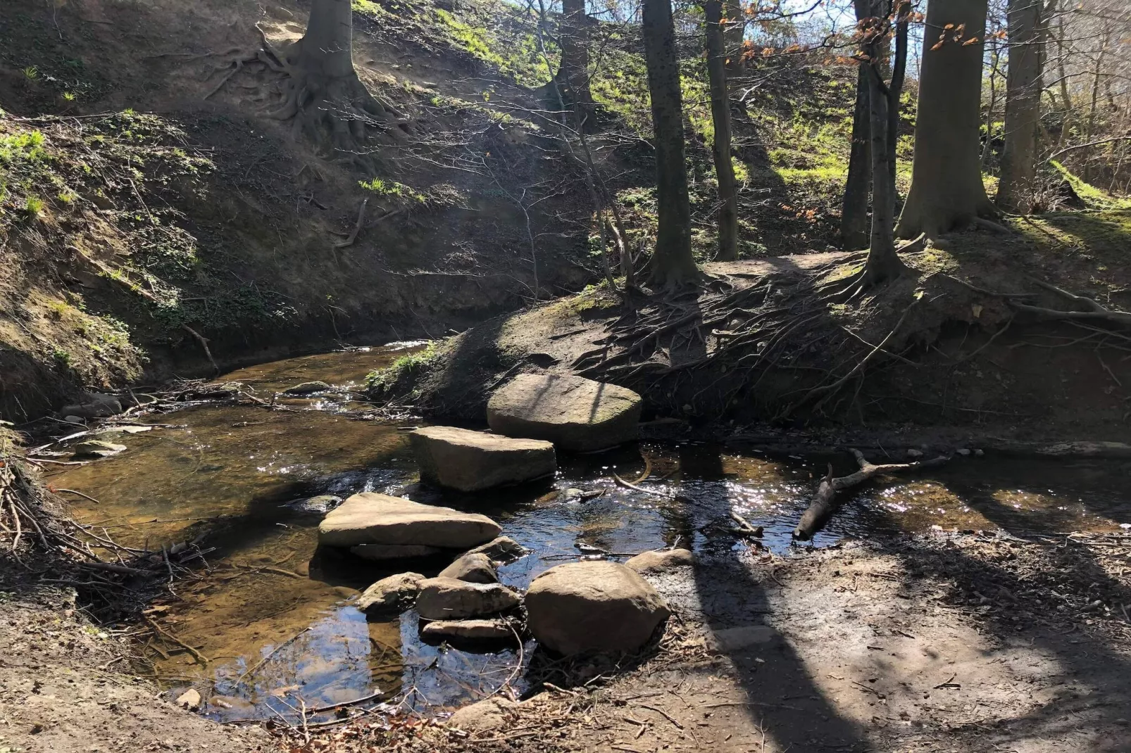 Mooi huisje vlakbij het strand-Niet-getagd