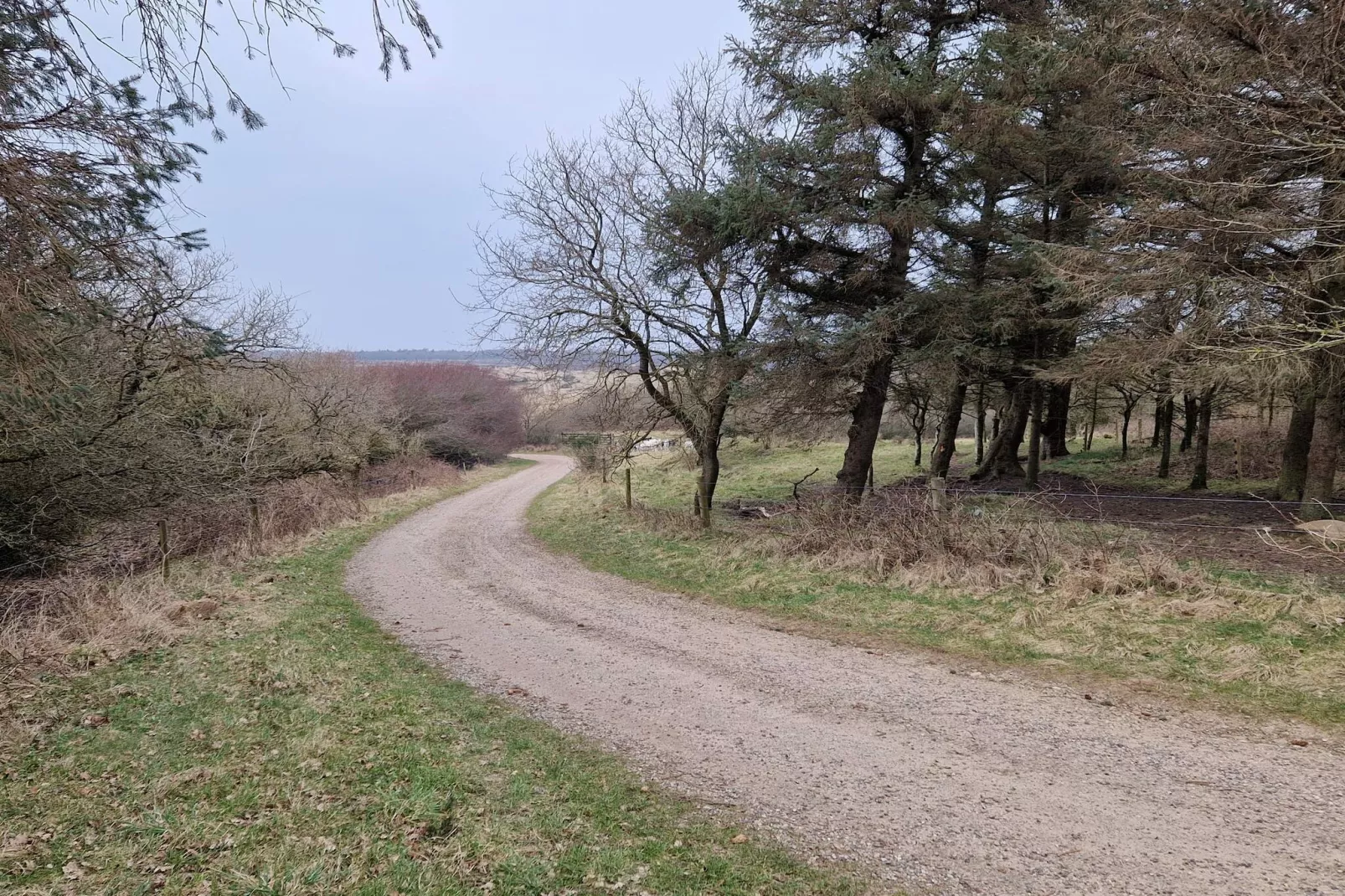 4 sterren vakantie huis in Spøttrup-Niet-getagd