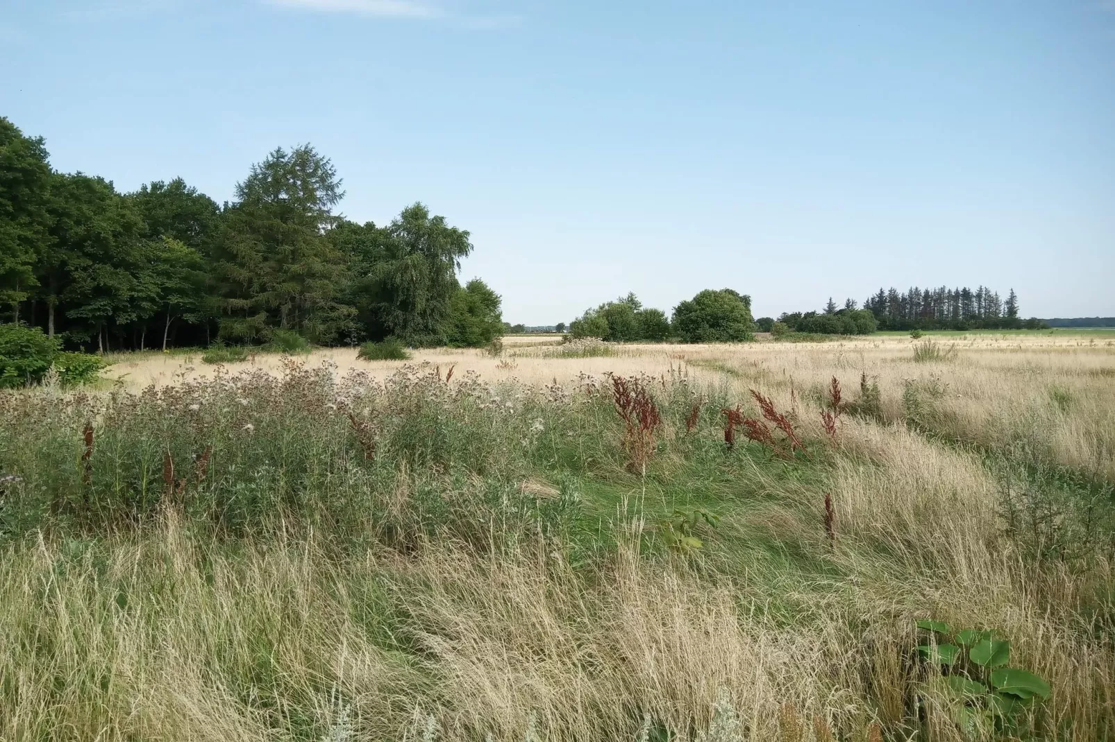 6 Personen vakantie huis in Storvorde-Niet-getagd