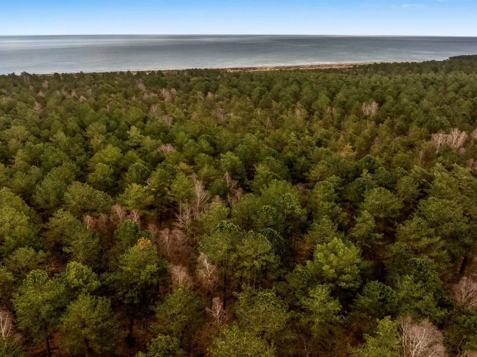 "Hælf" - 600m from the sea-Buiten