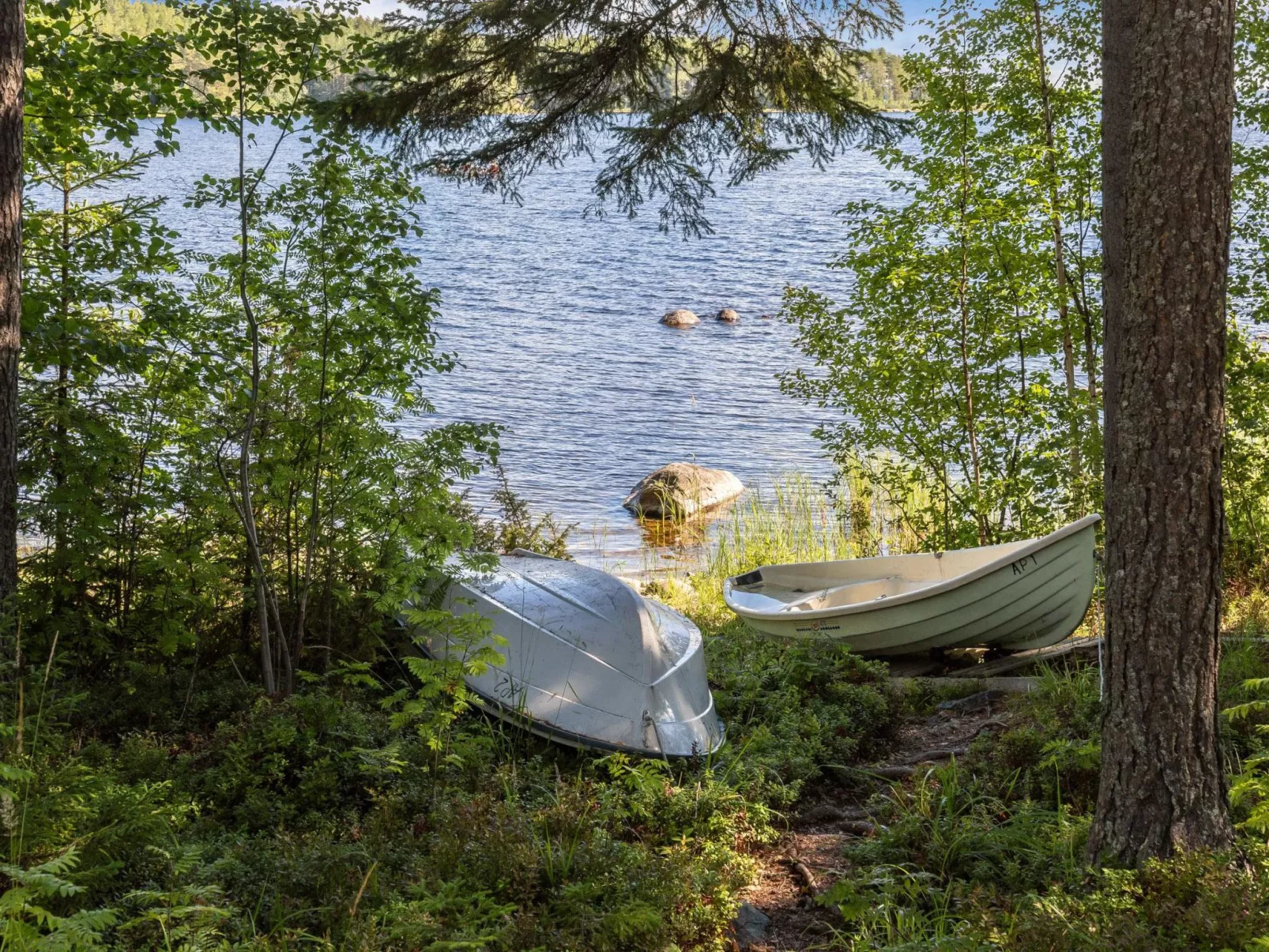 Amero purnu 2-Binnen