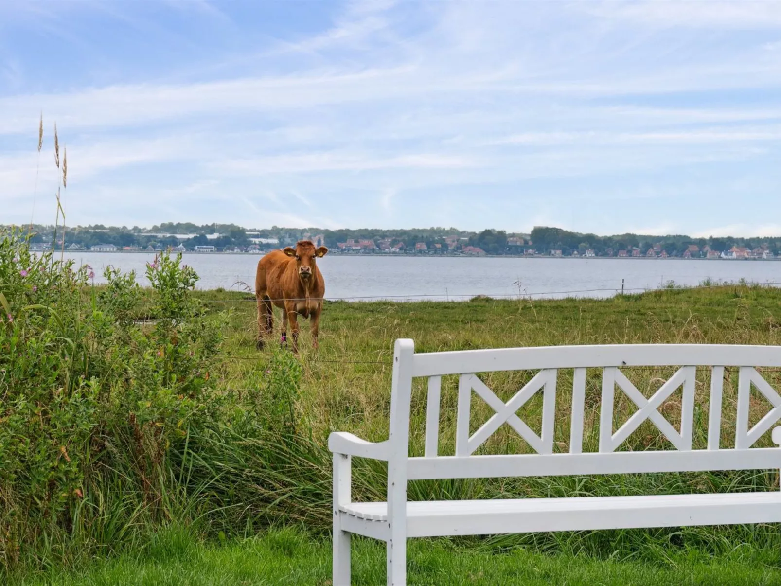 "Thyra" - 50m to the fjord-Buiten
