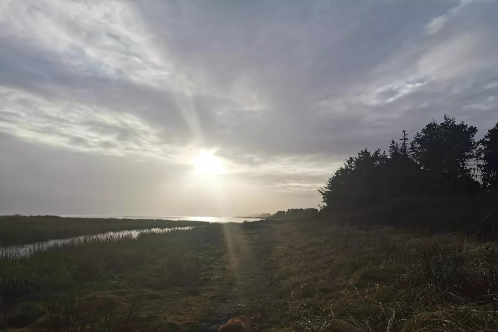 6 Personen vakantie huis in Hadsund-Niet-getagd