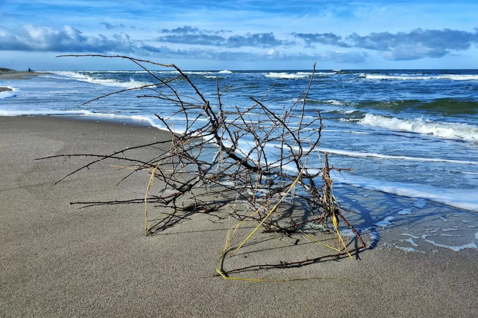 Familienhaus - Haus Sonne - Strandhotel Fischland-Gebieden zomer 5km