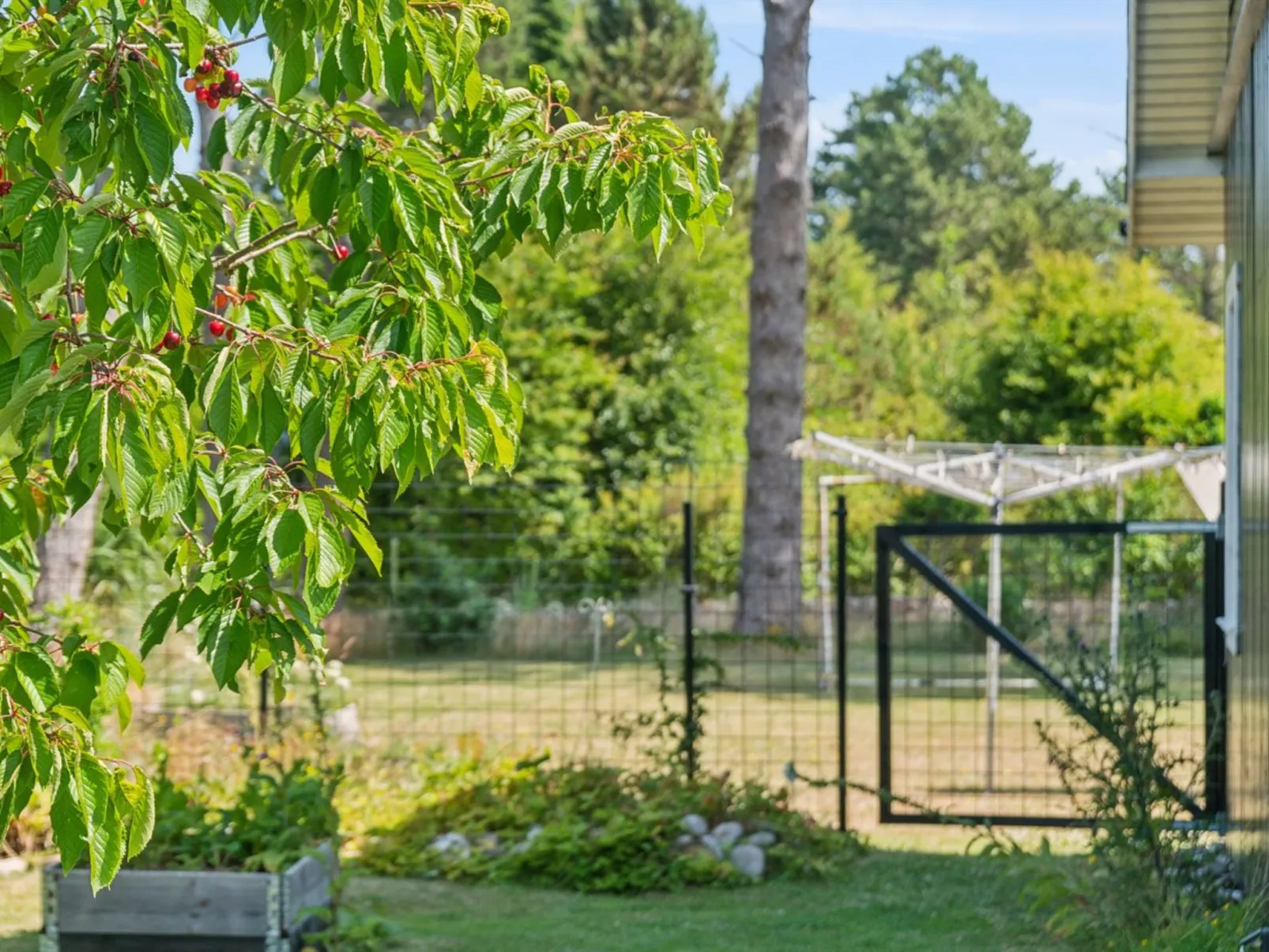 "Botwith" - 125m from the sea-Buiten