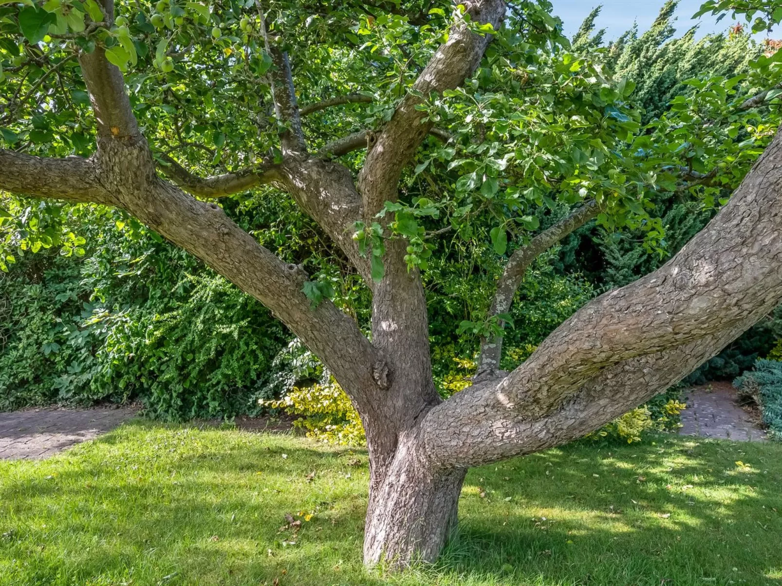 "Sampsa" - 75m from the sea-Buiten