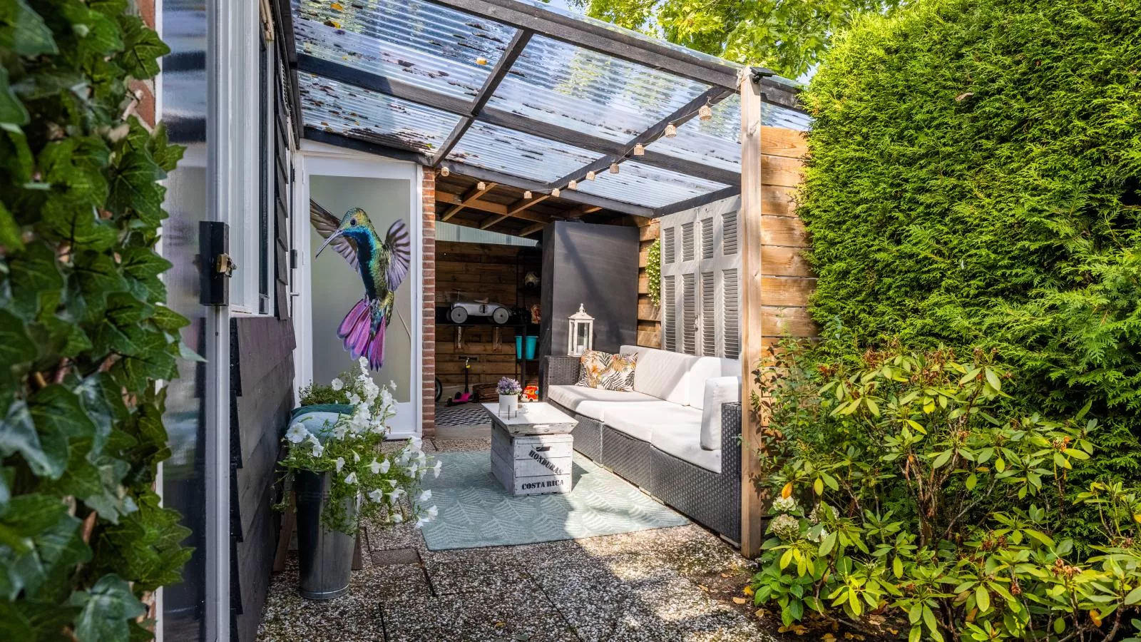 Kolibrie-Buitenlucht