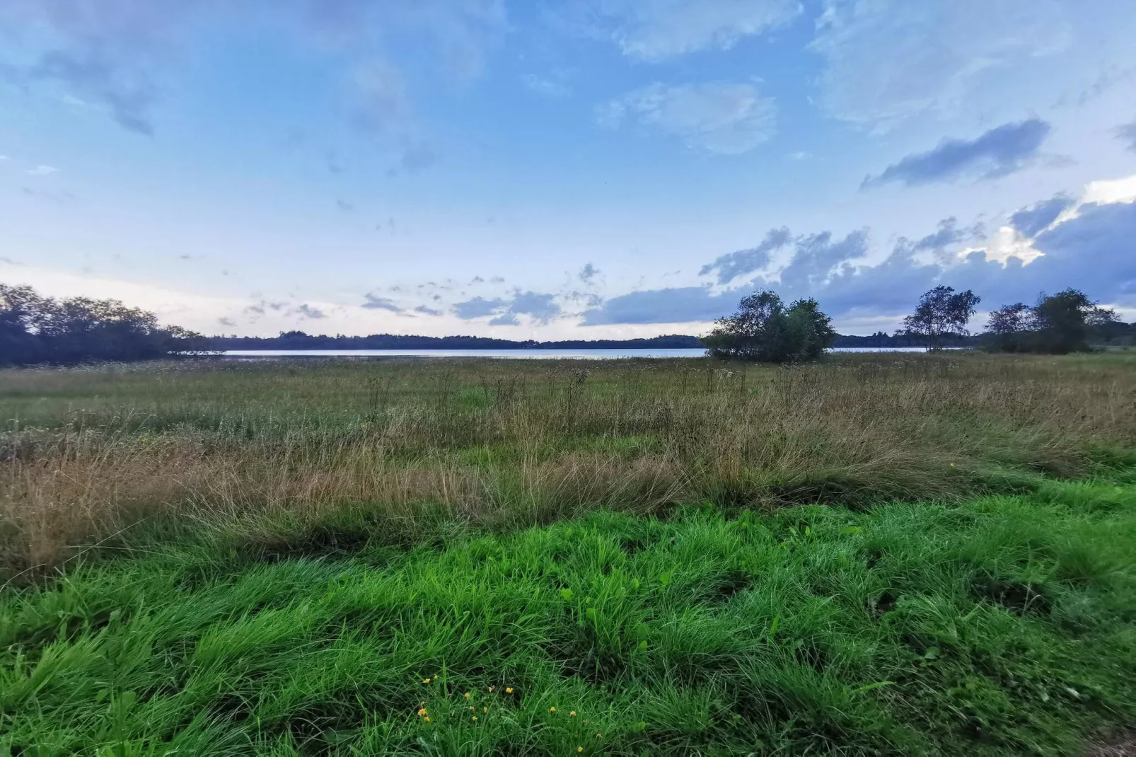 5 sterren vakantie huis in Ansager-Buitenlucht