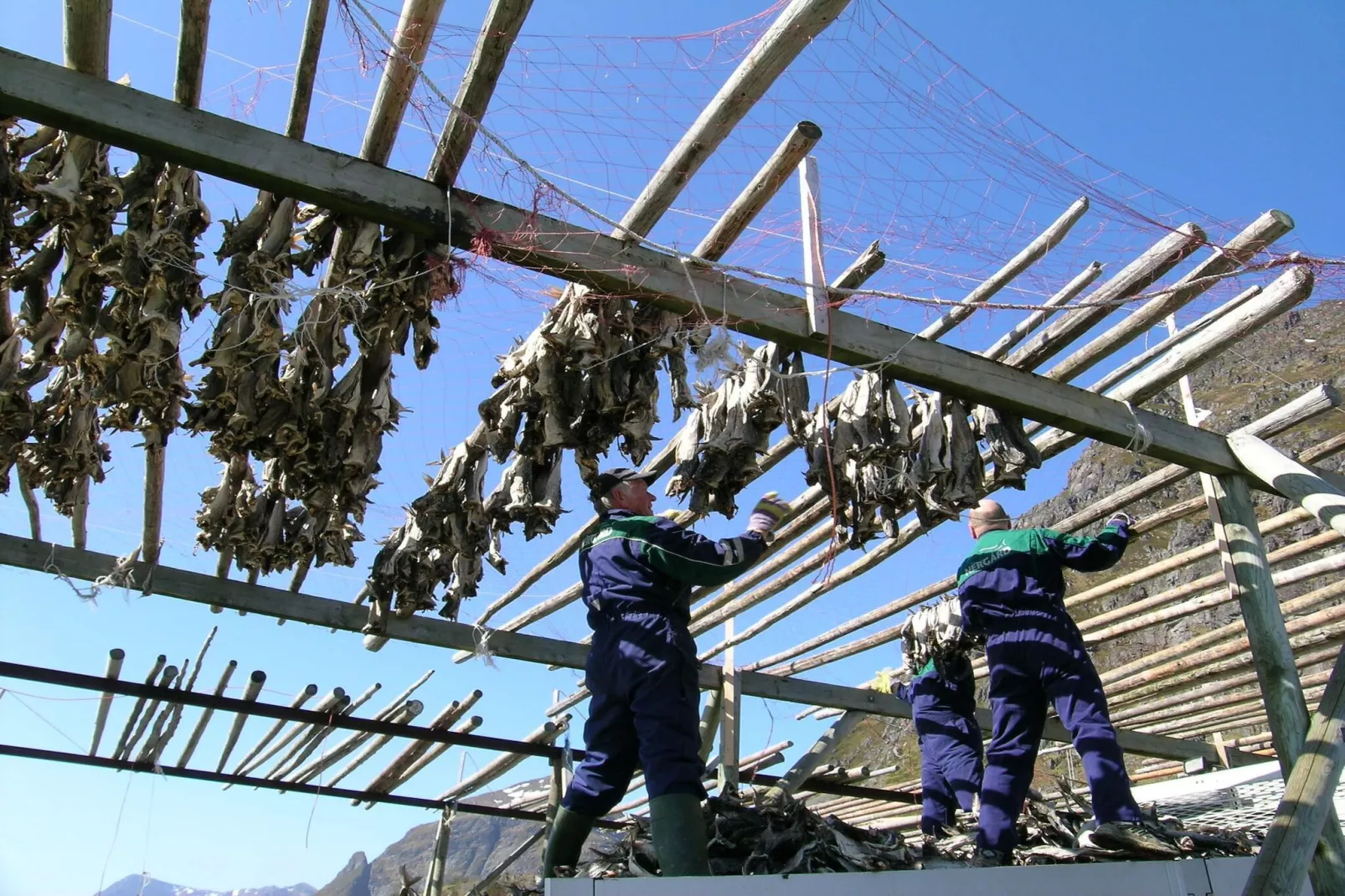 8 Personen vakantie huis in Mølnarodden