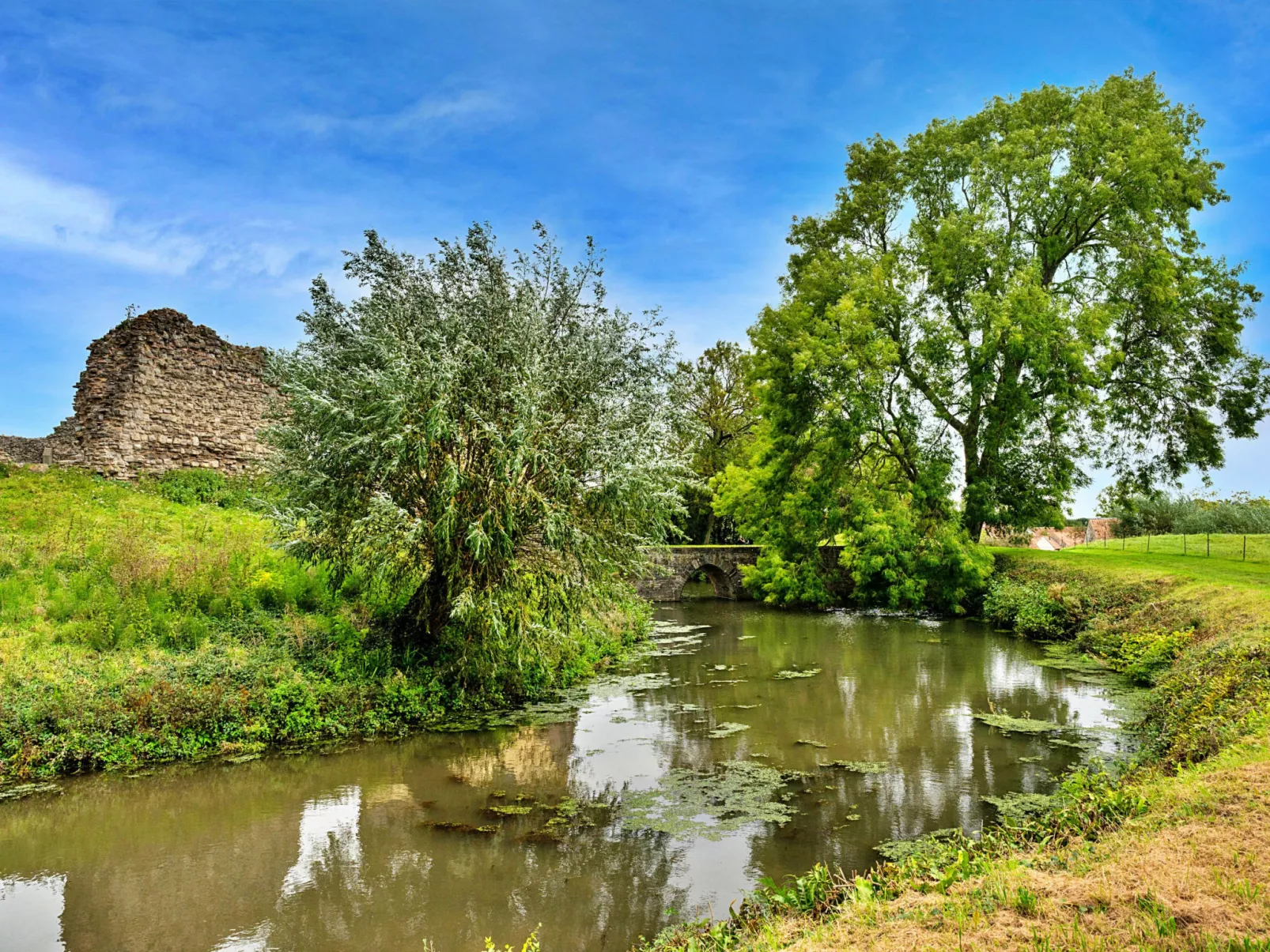 Clematis Cottage-Buiten