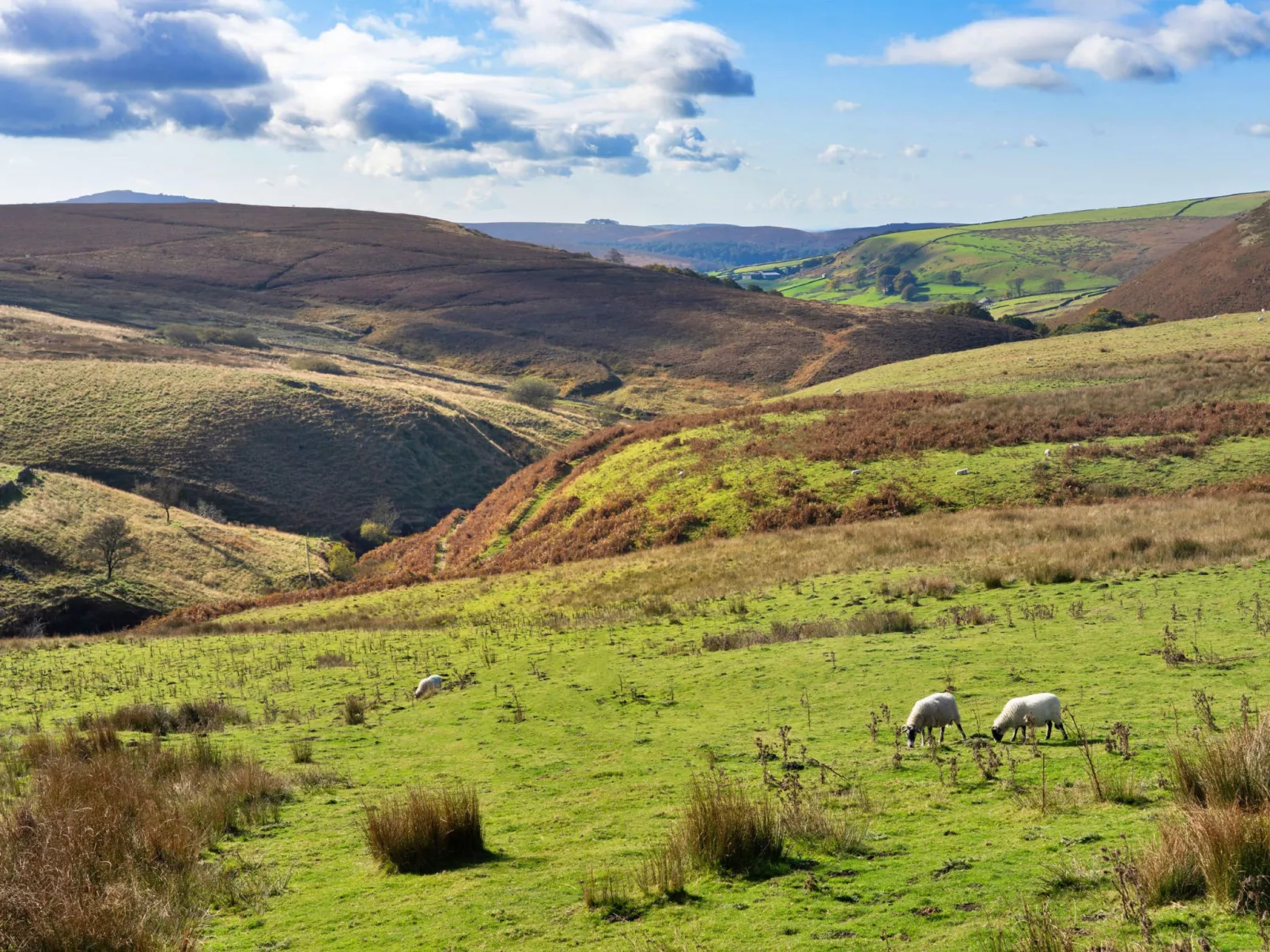 End Barn at Blackclough Farm-Buiten