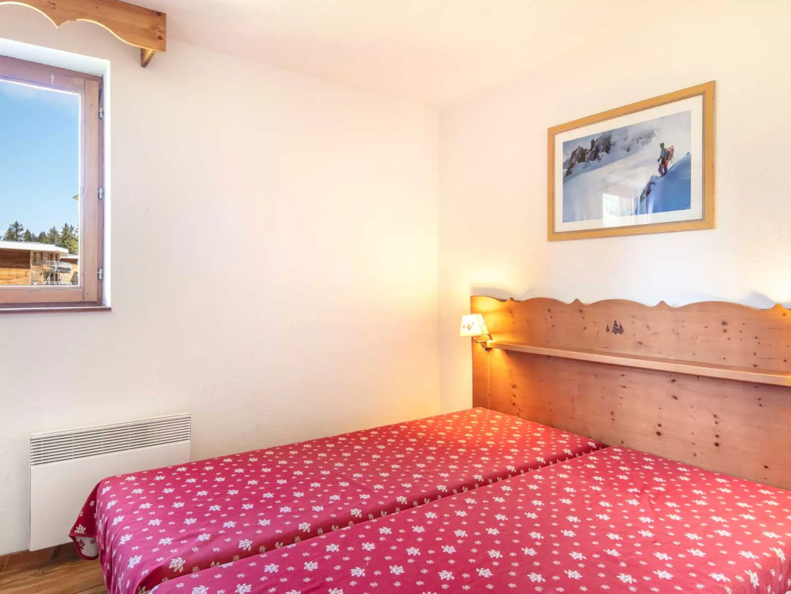 V du Bachat Asters E