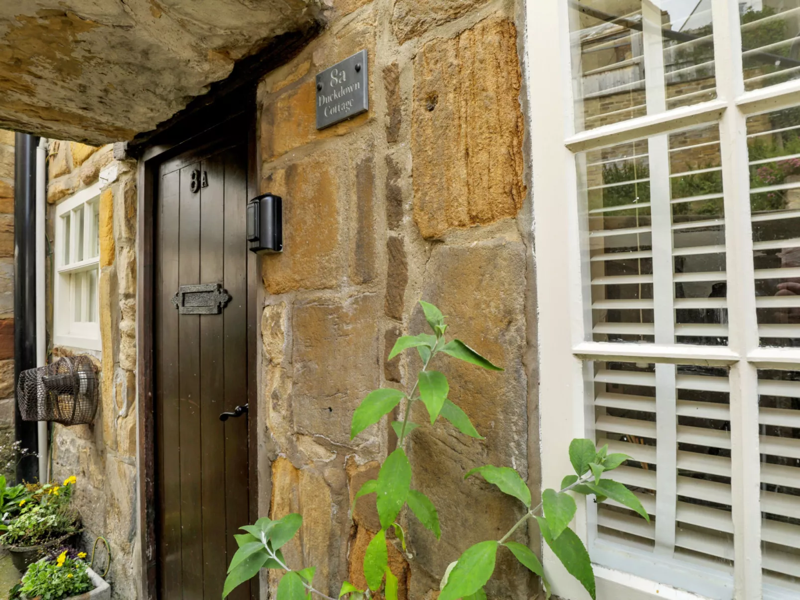 Duck Down Cottage-Buiten