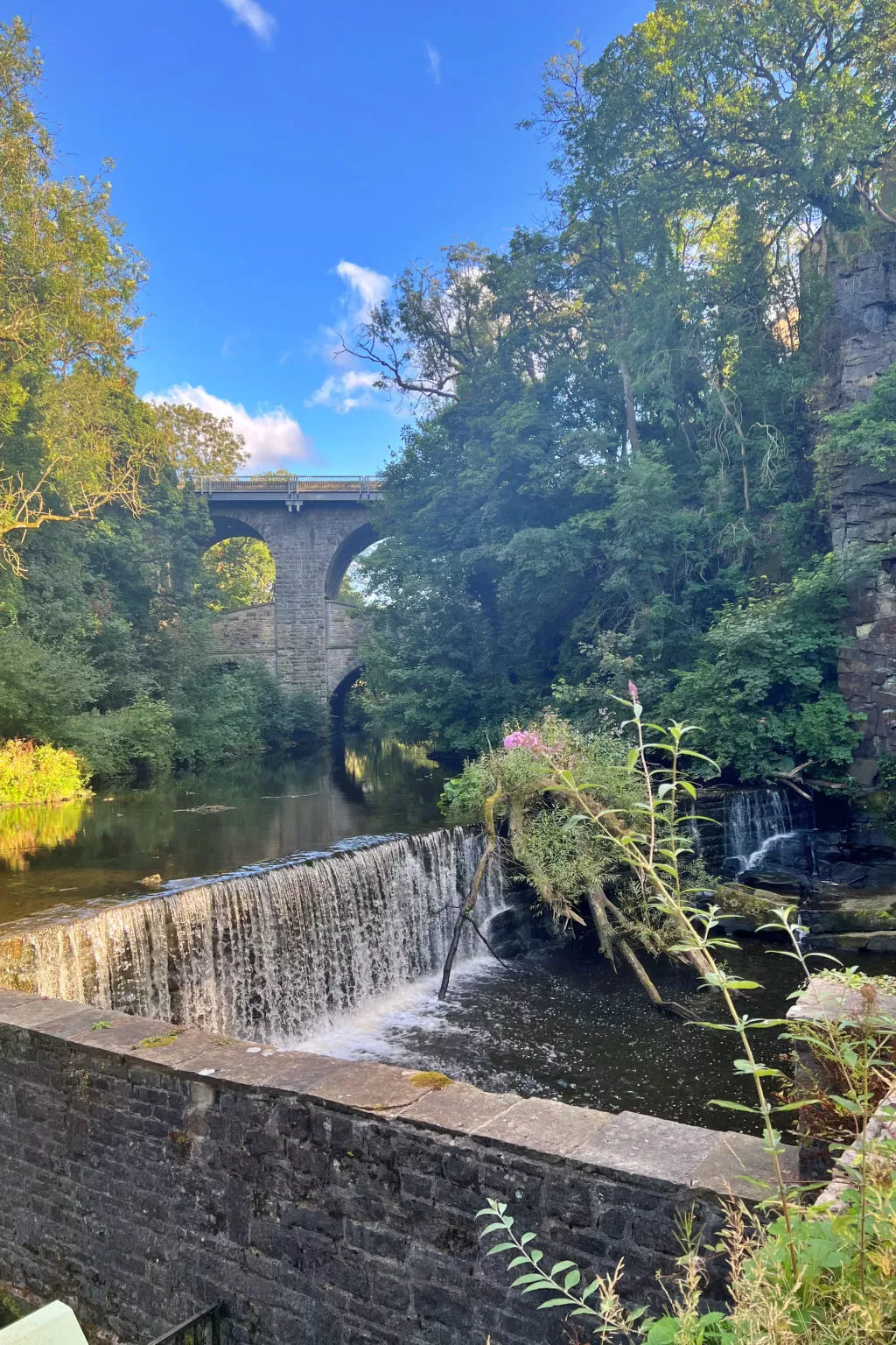 Suzy's Cottage-Binnen