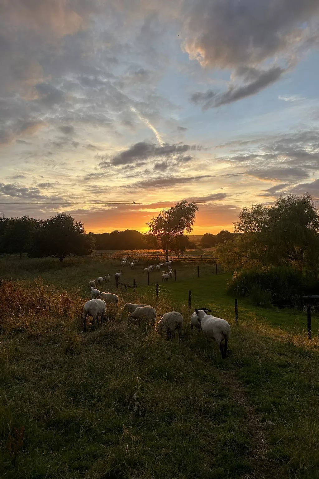 The Rookery Stables-Buiten