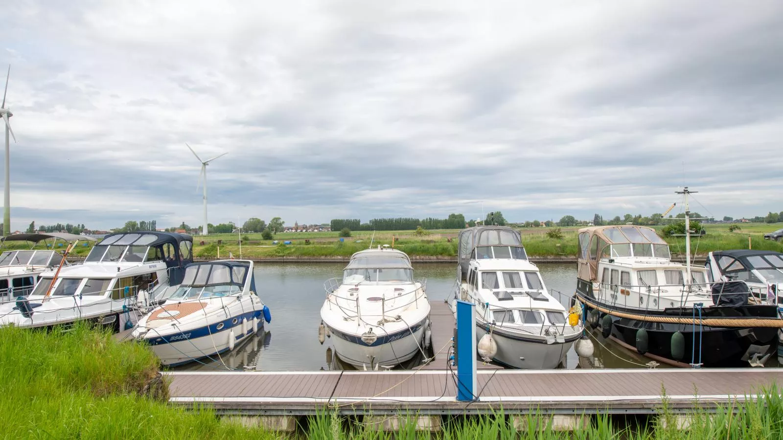 Nieuwendamme 40D-Gebieden zomer 1km
